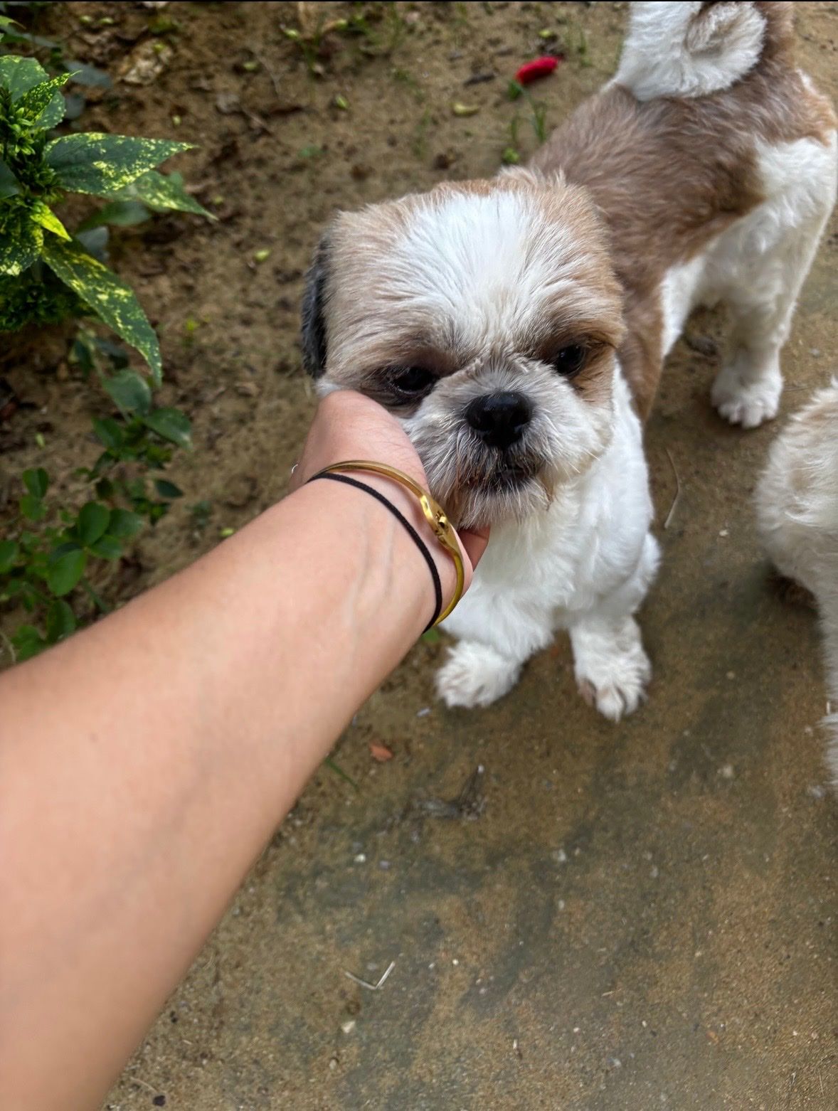 image-6