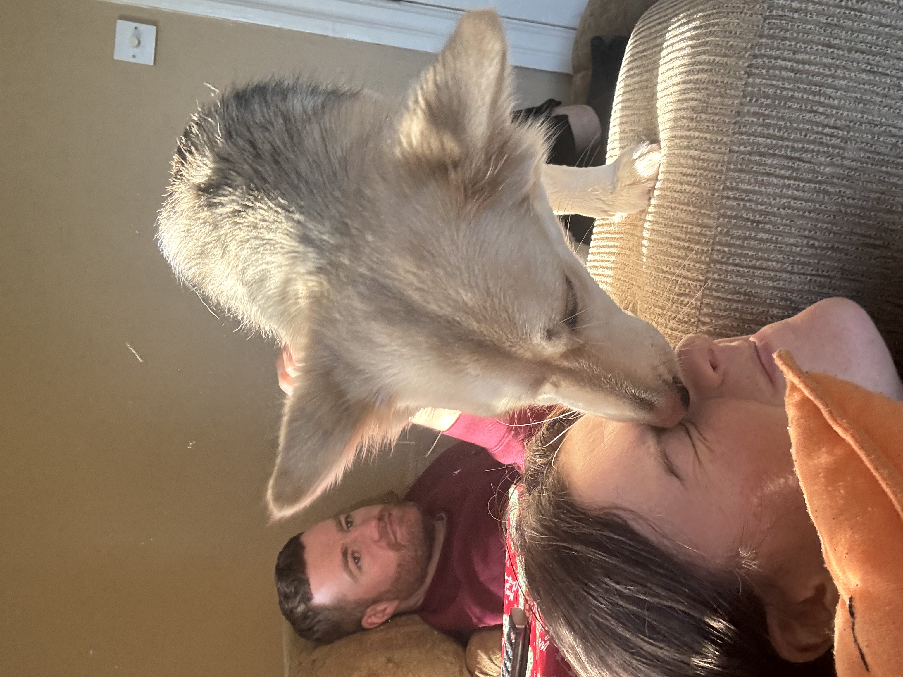 image-9