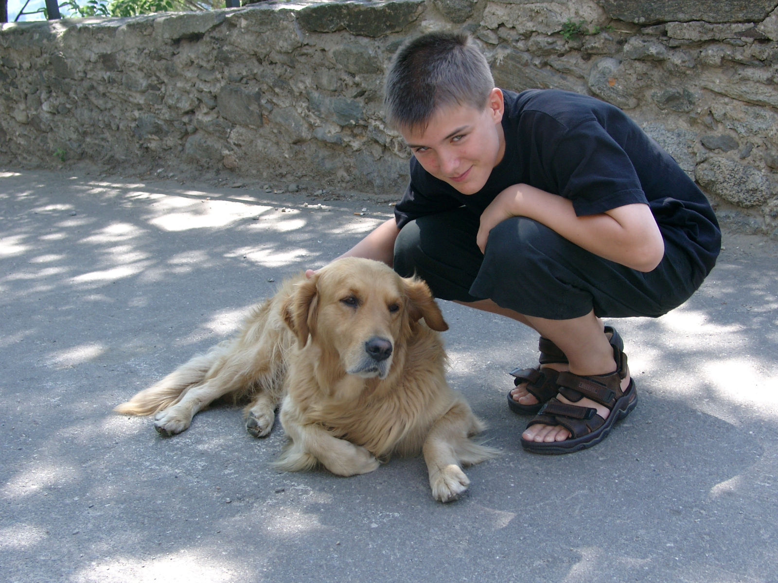 image-6
