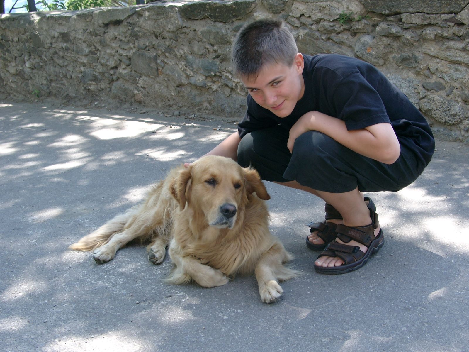 image-6