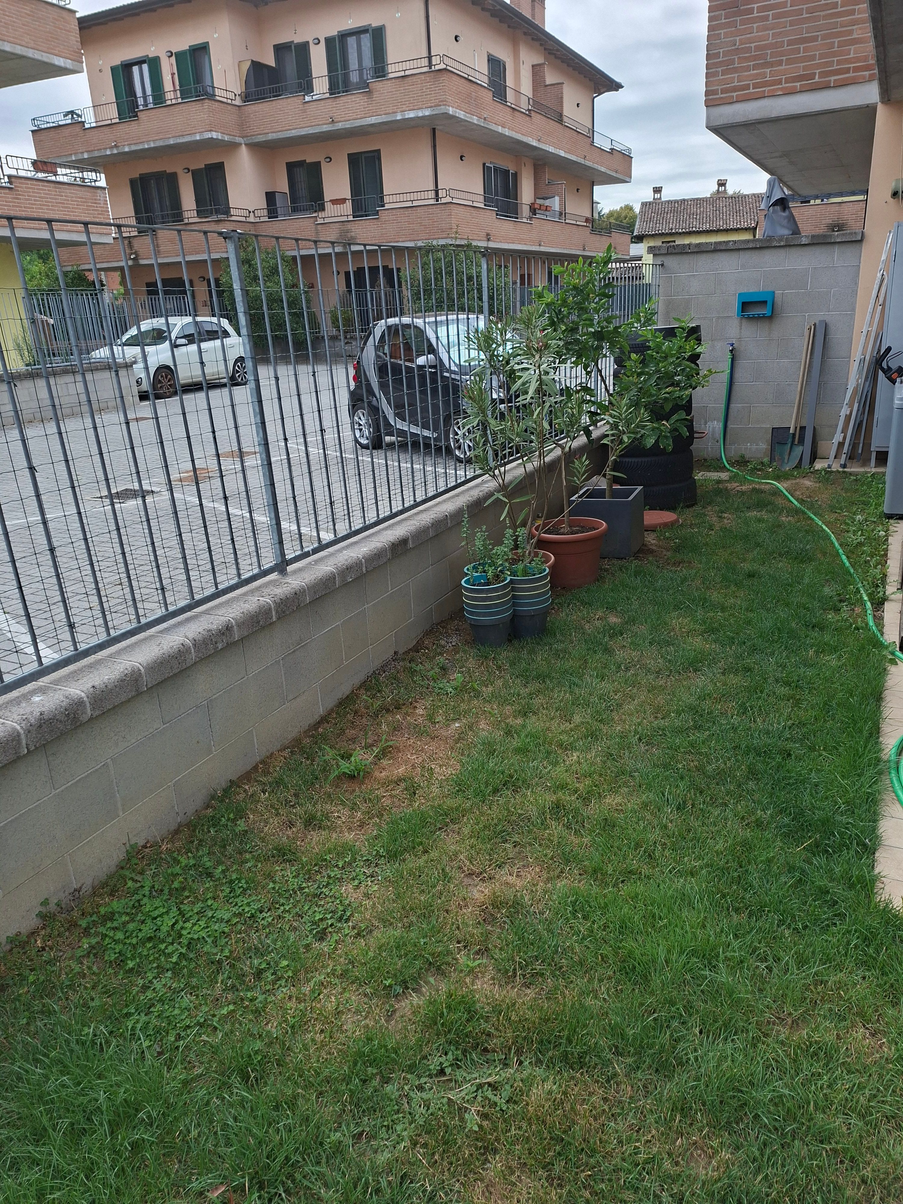 image-18