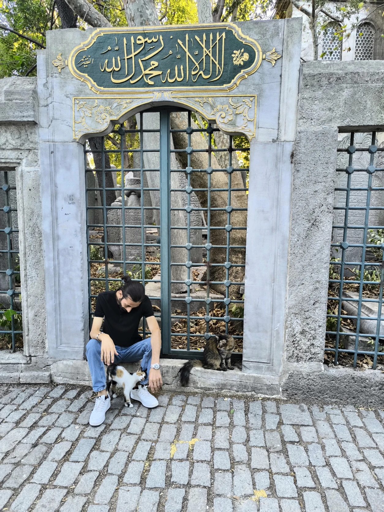 image-8
