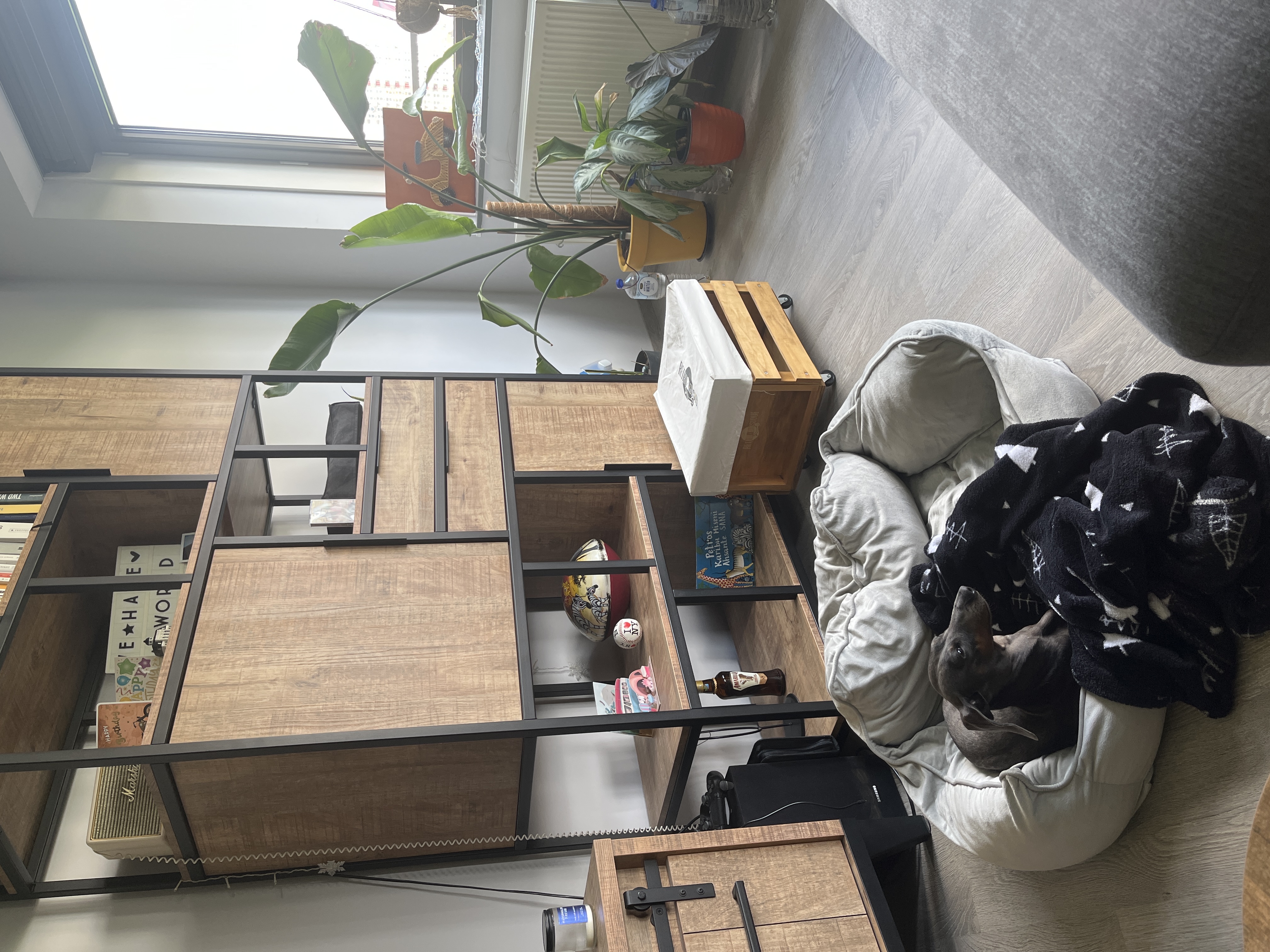 image-8