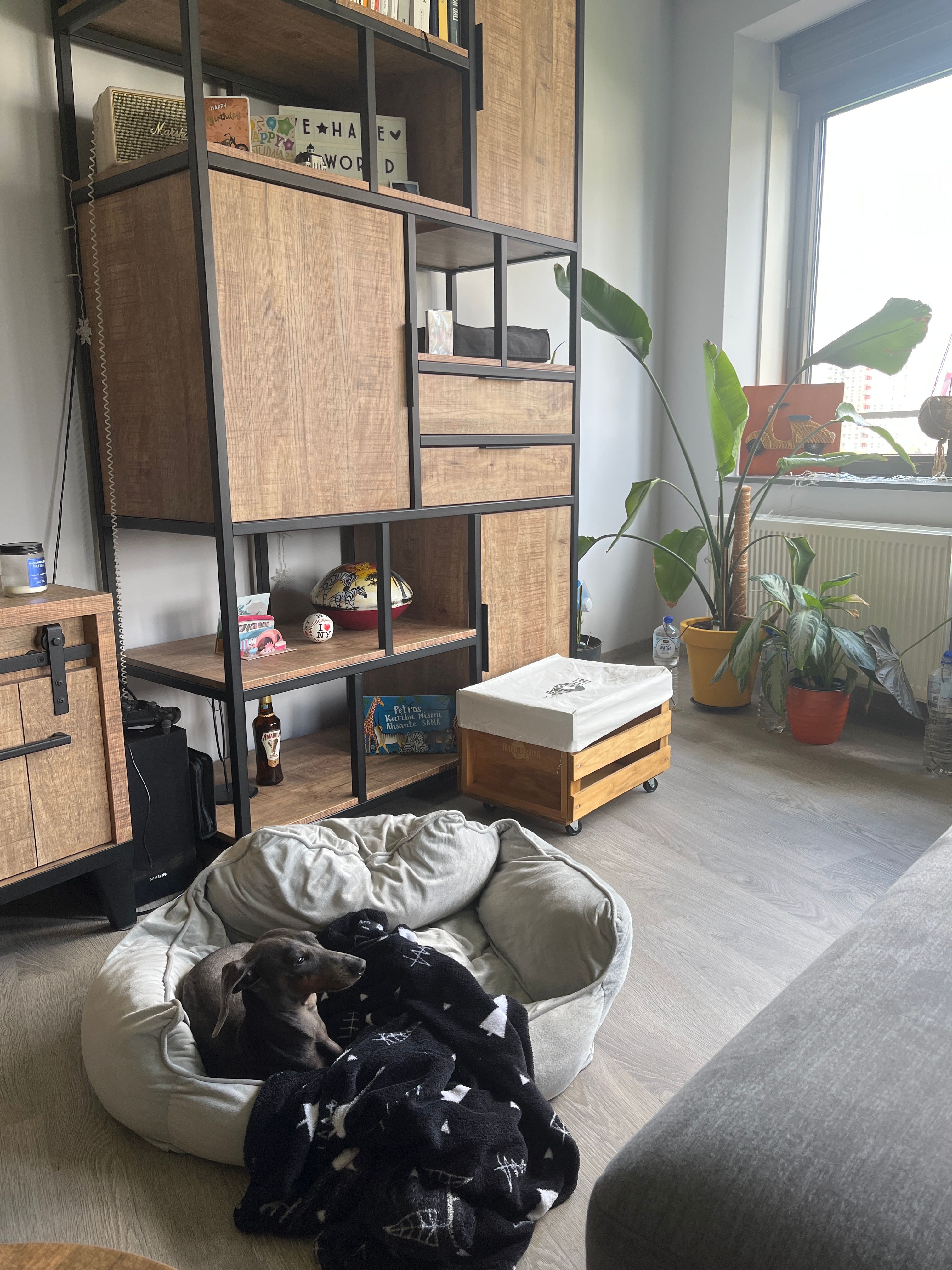 image-8