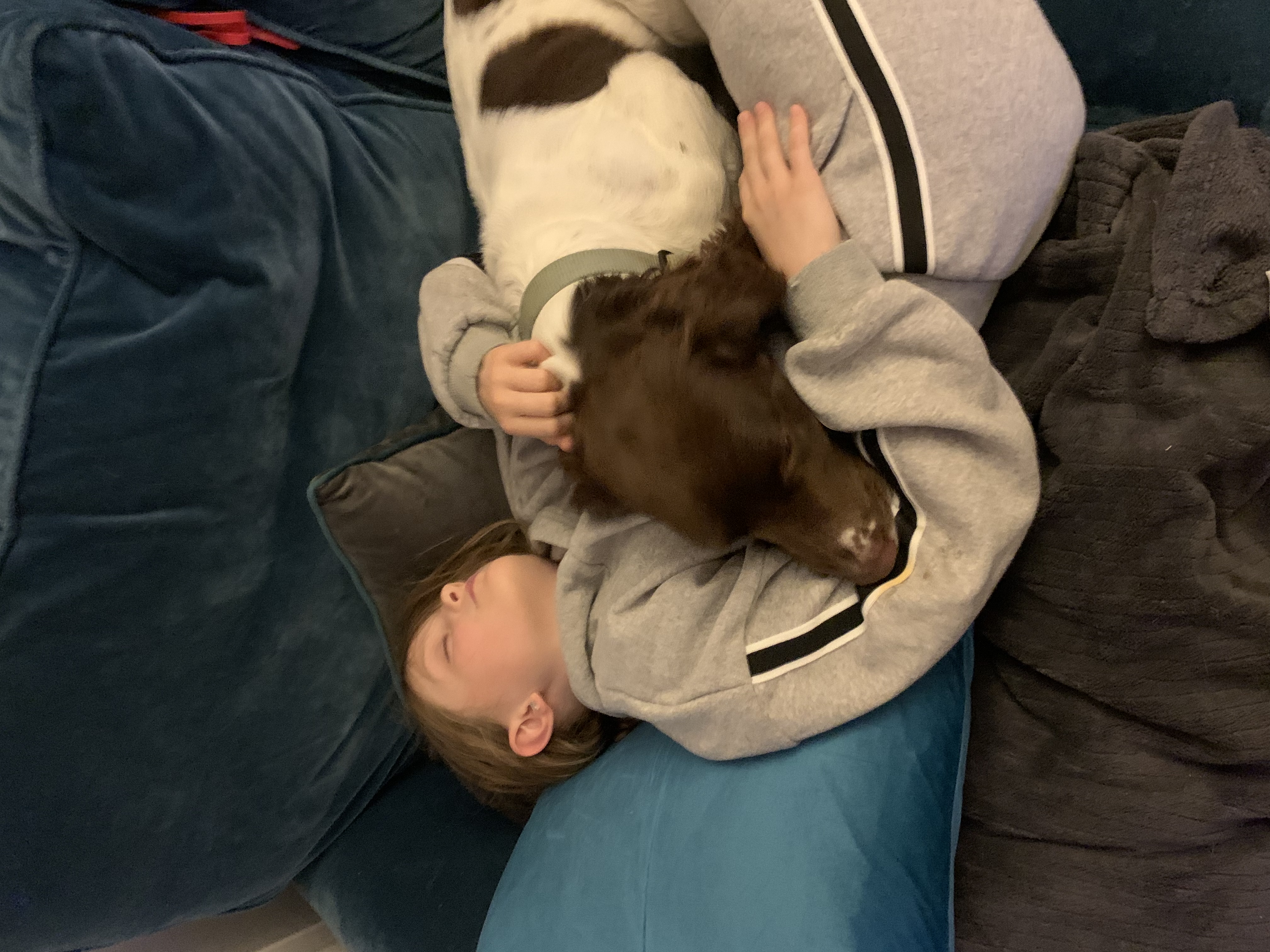 image-6