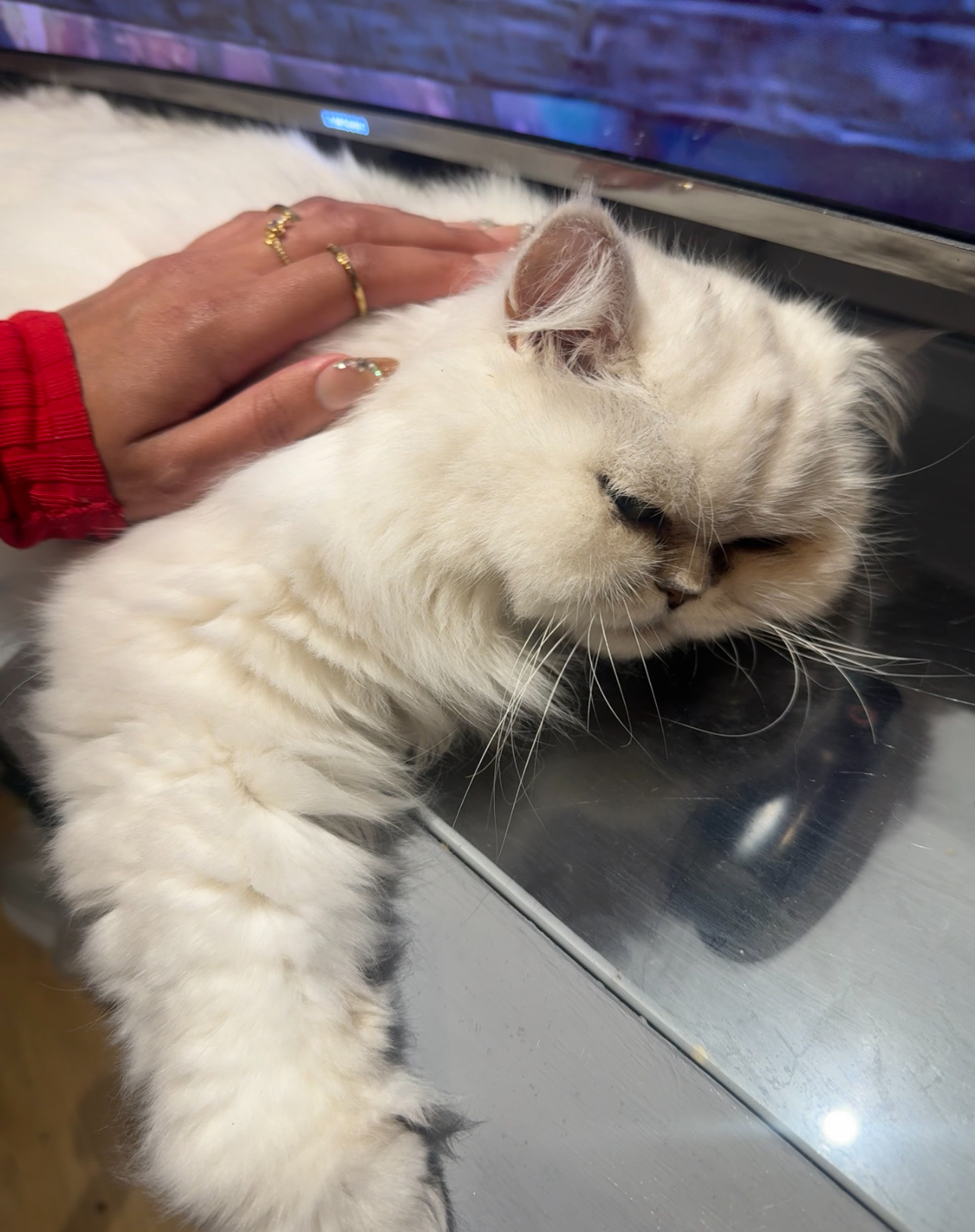 image-7