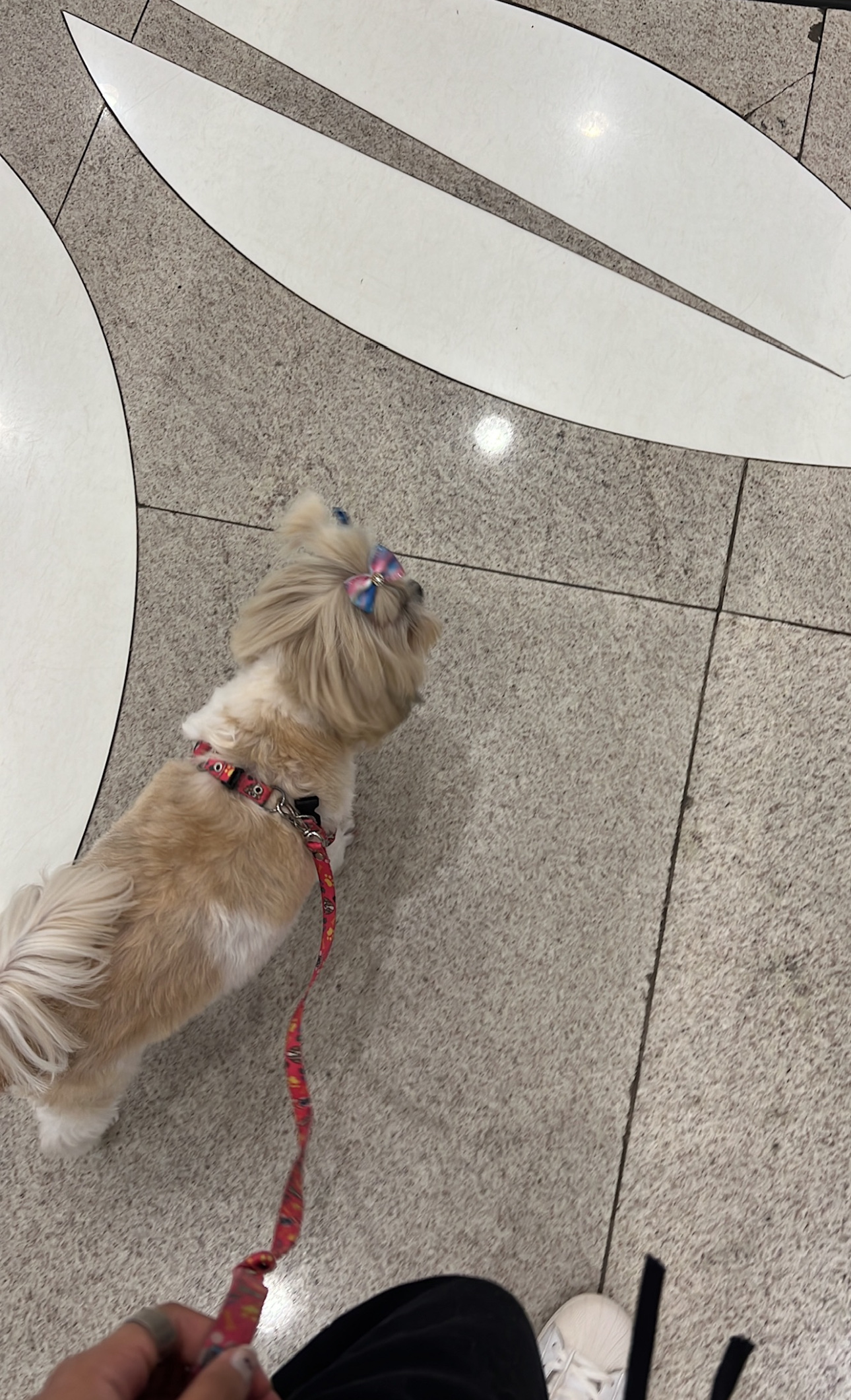 image-8