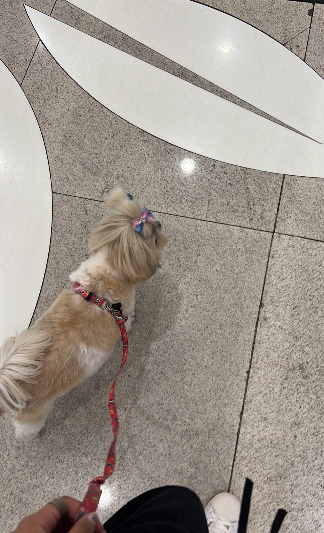 image-8