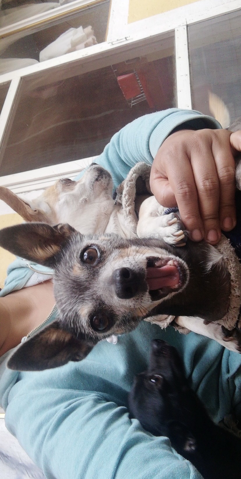 image-6