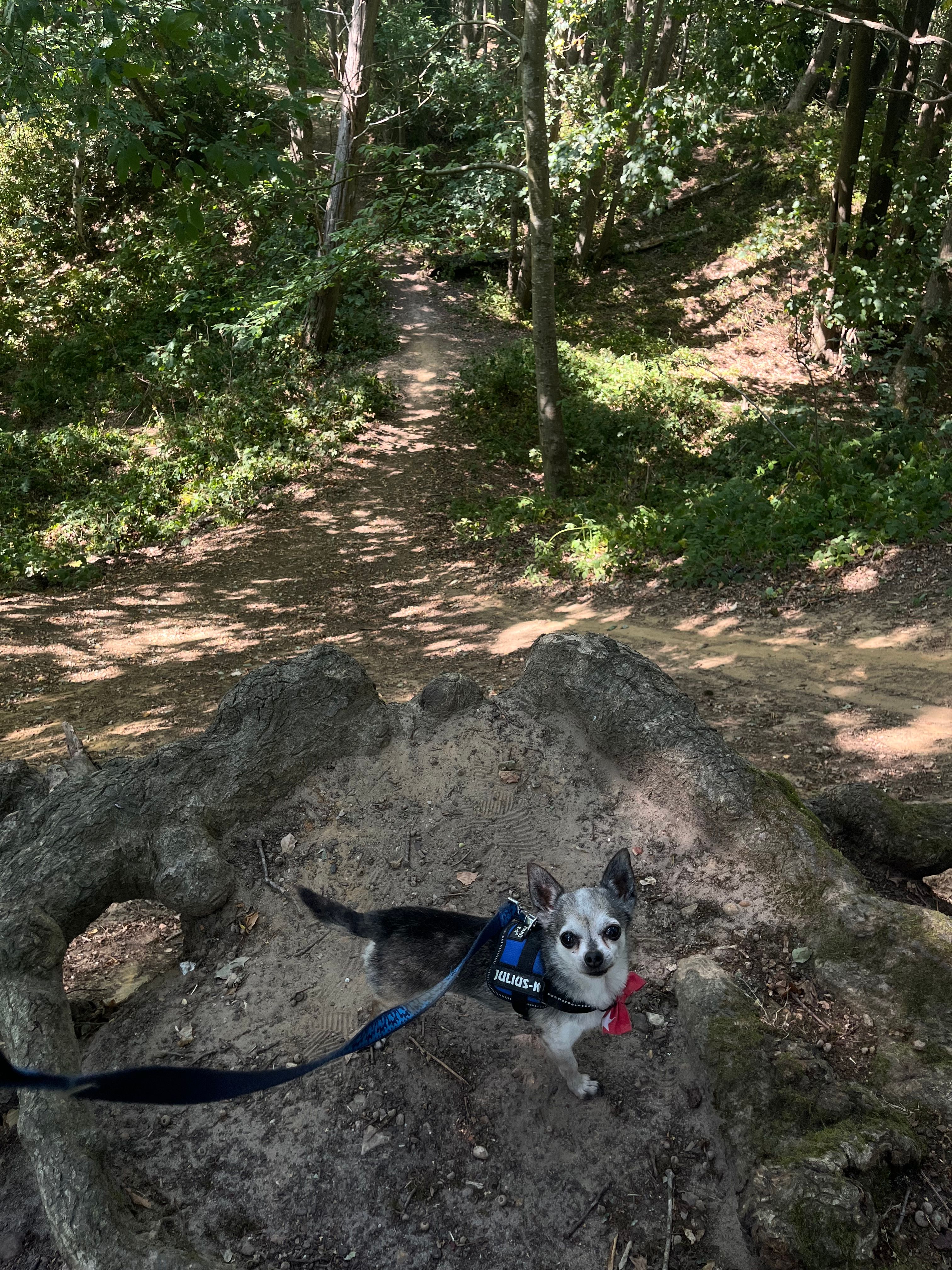 image-13