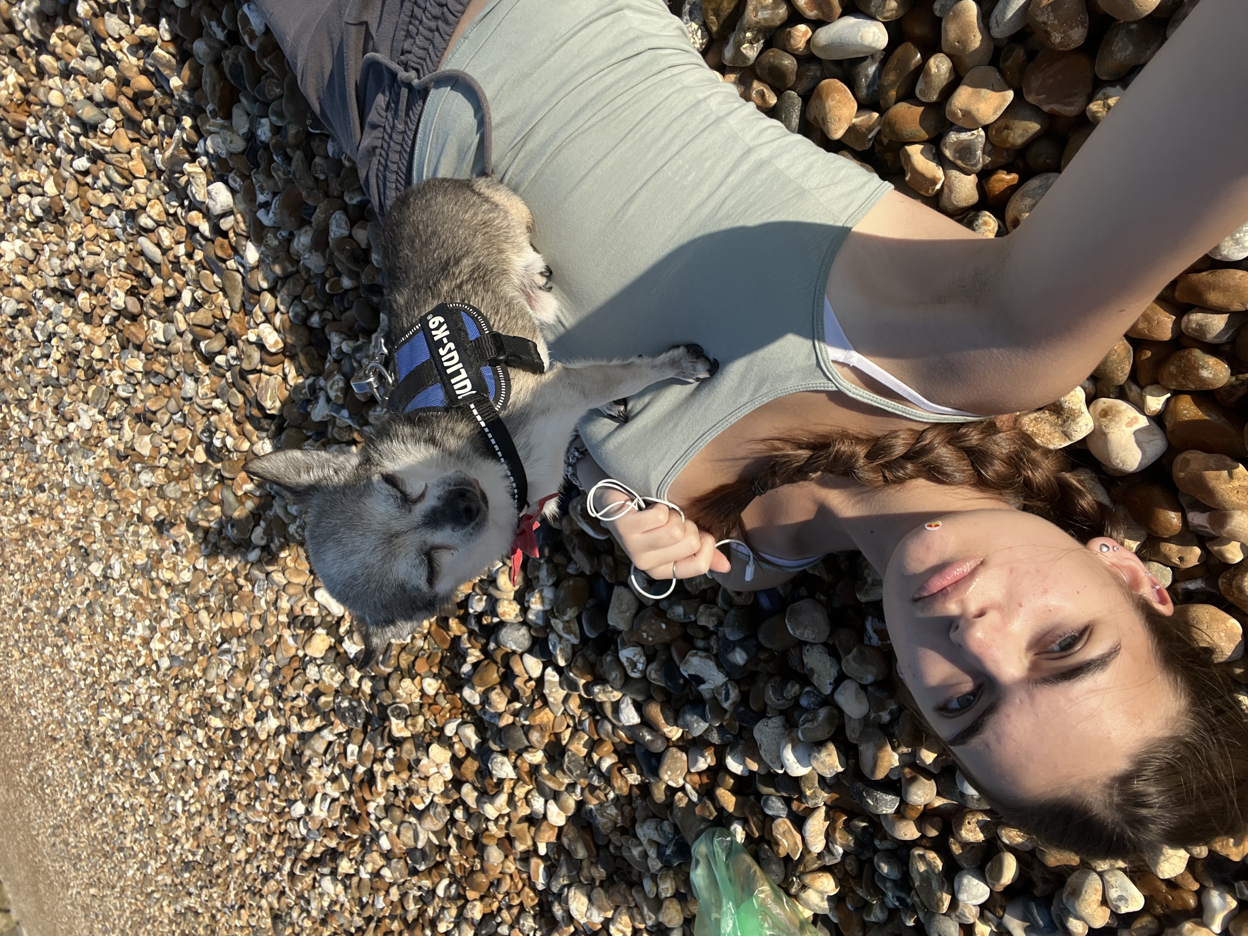 image-11