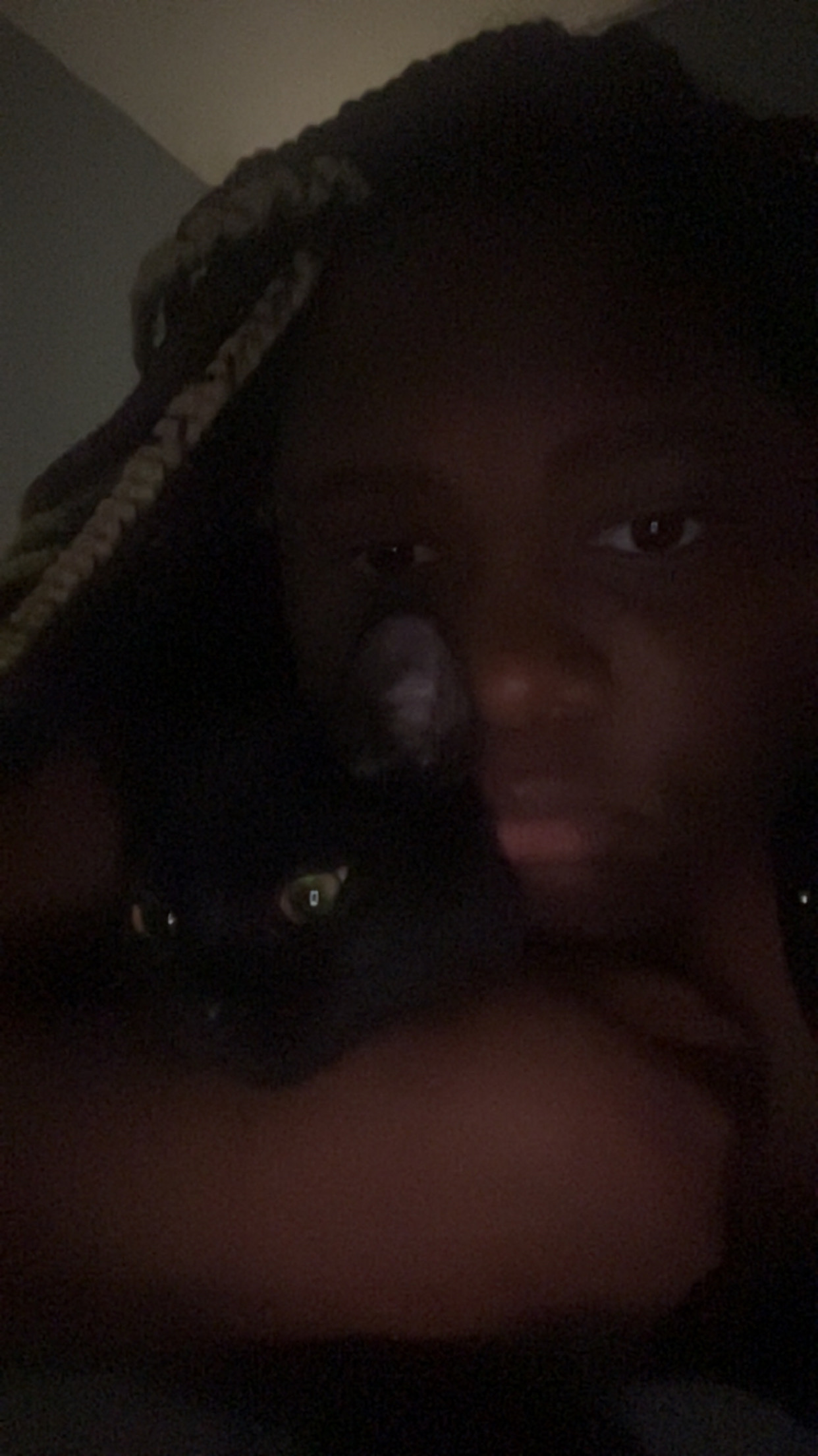 image-7