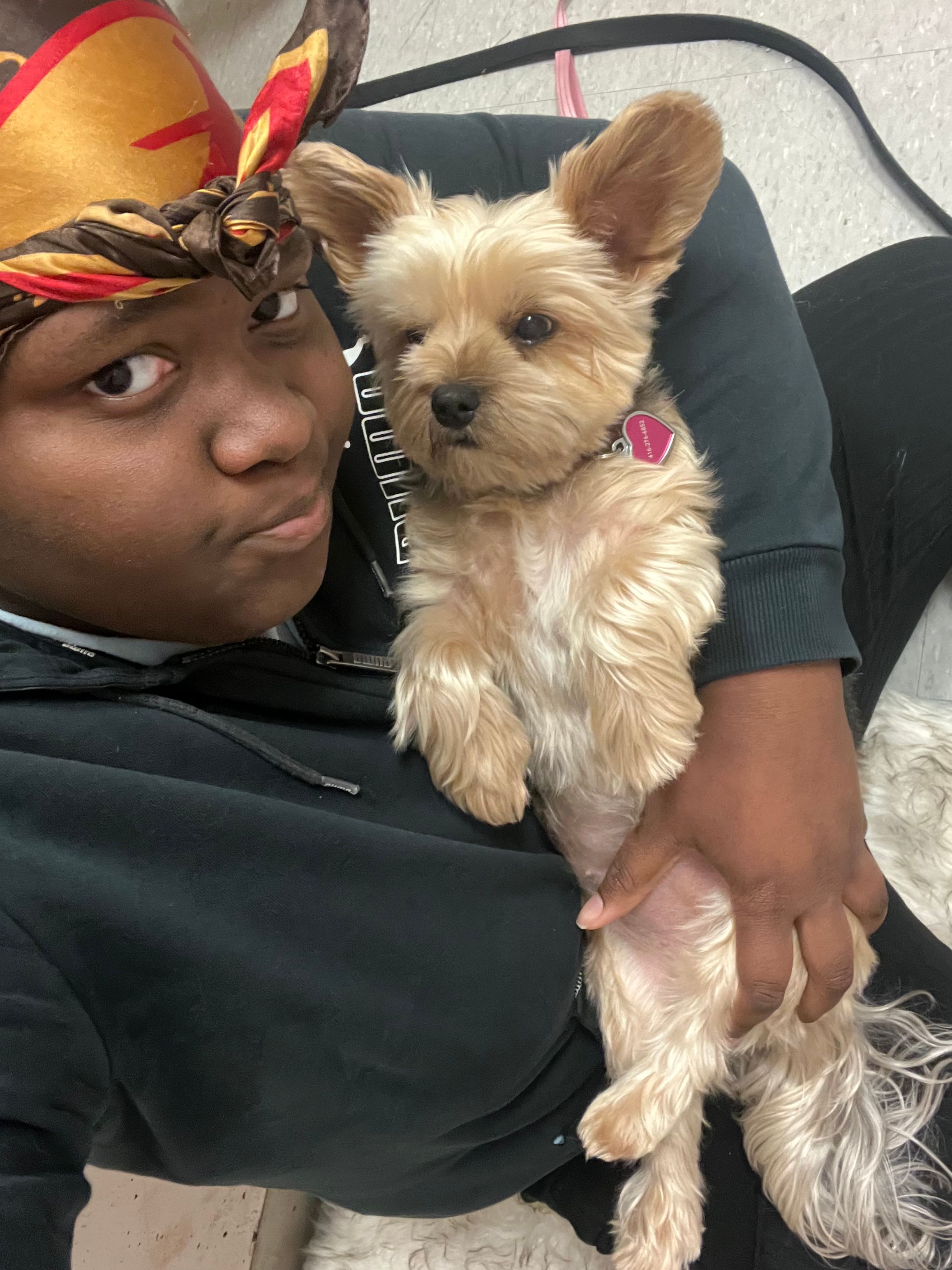 image-9