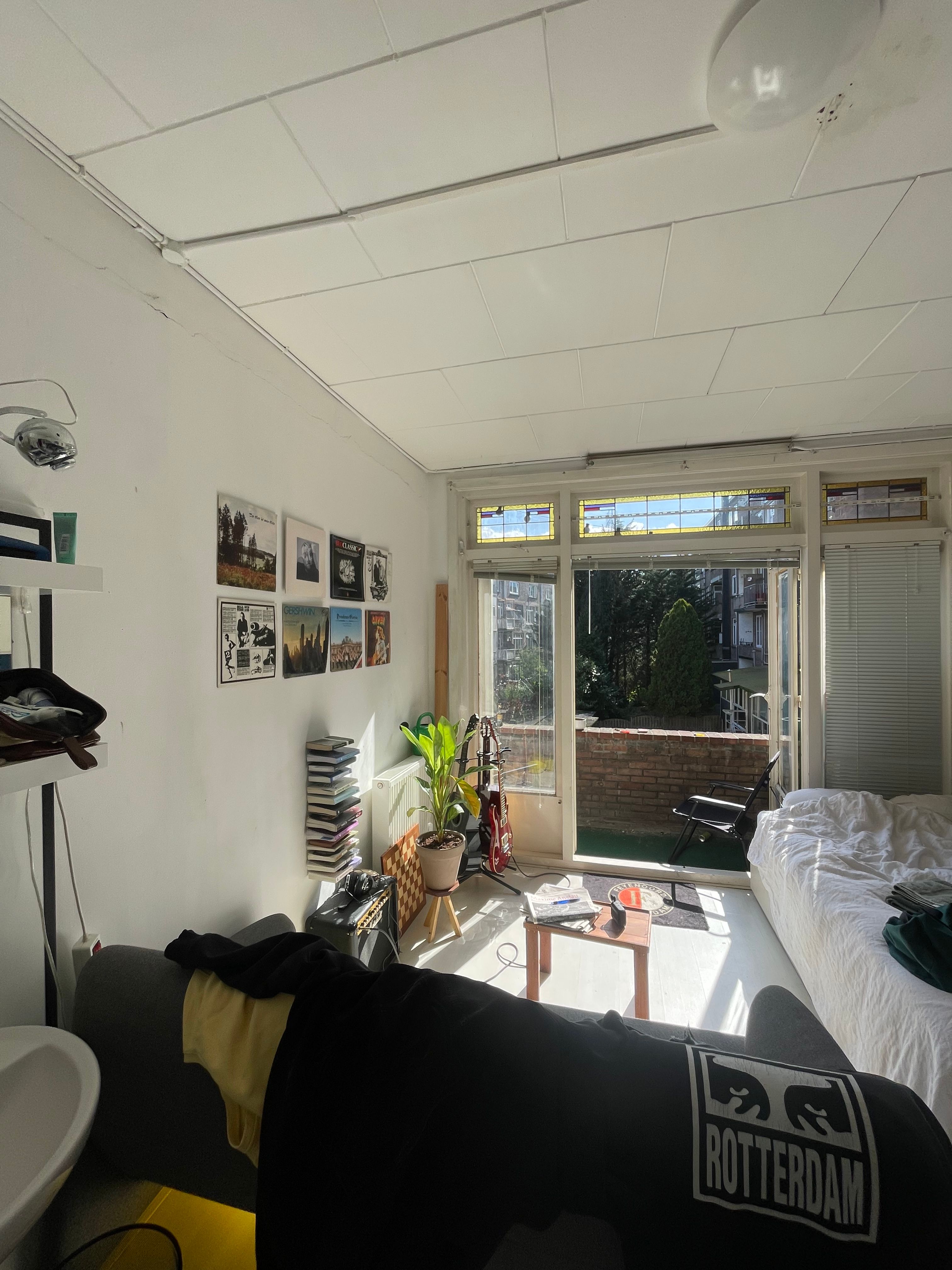 image-12