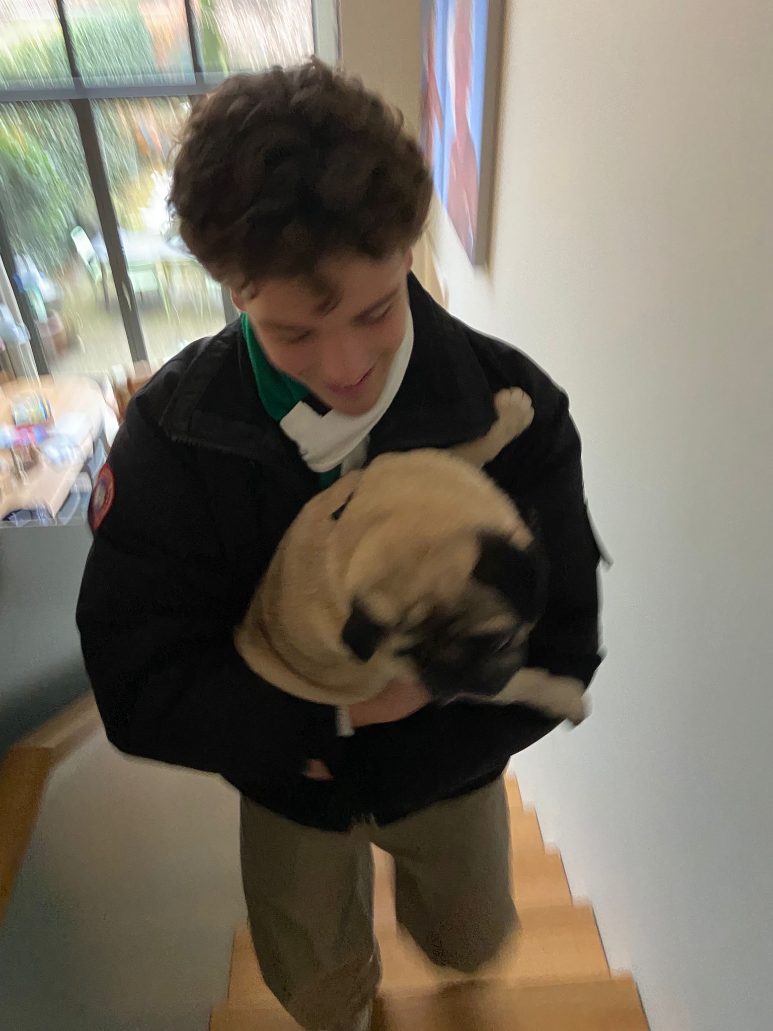 image-8