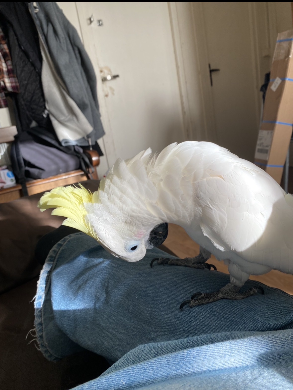 image-6