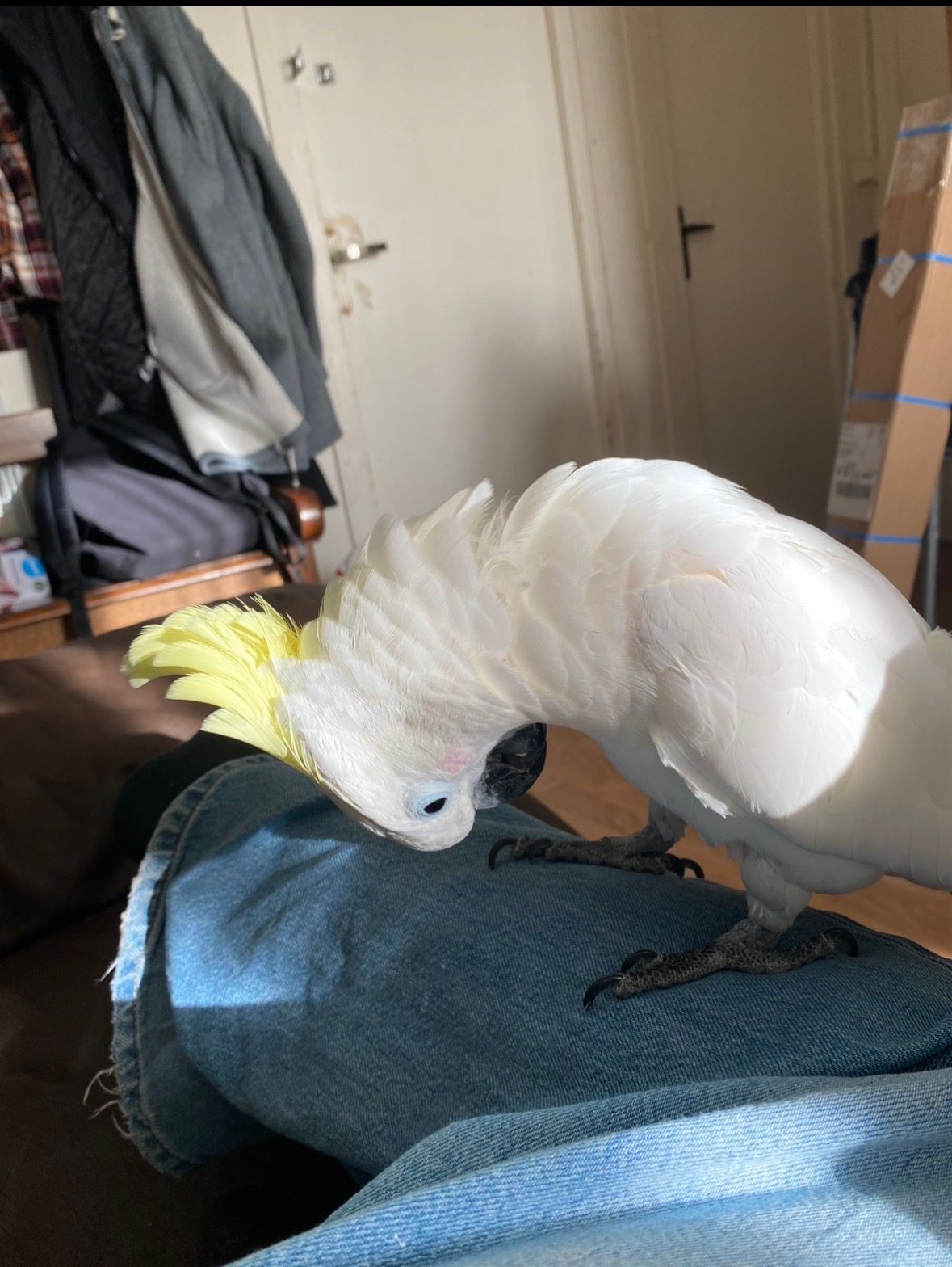 image-6