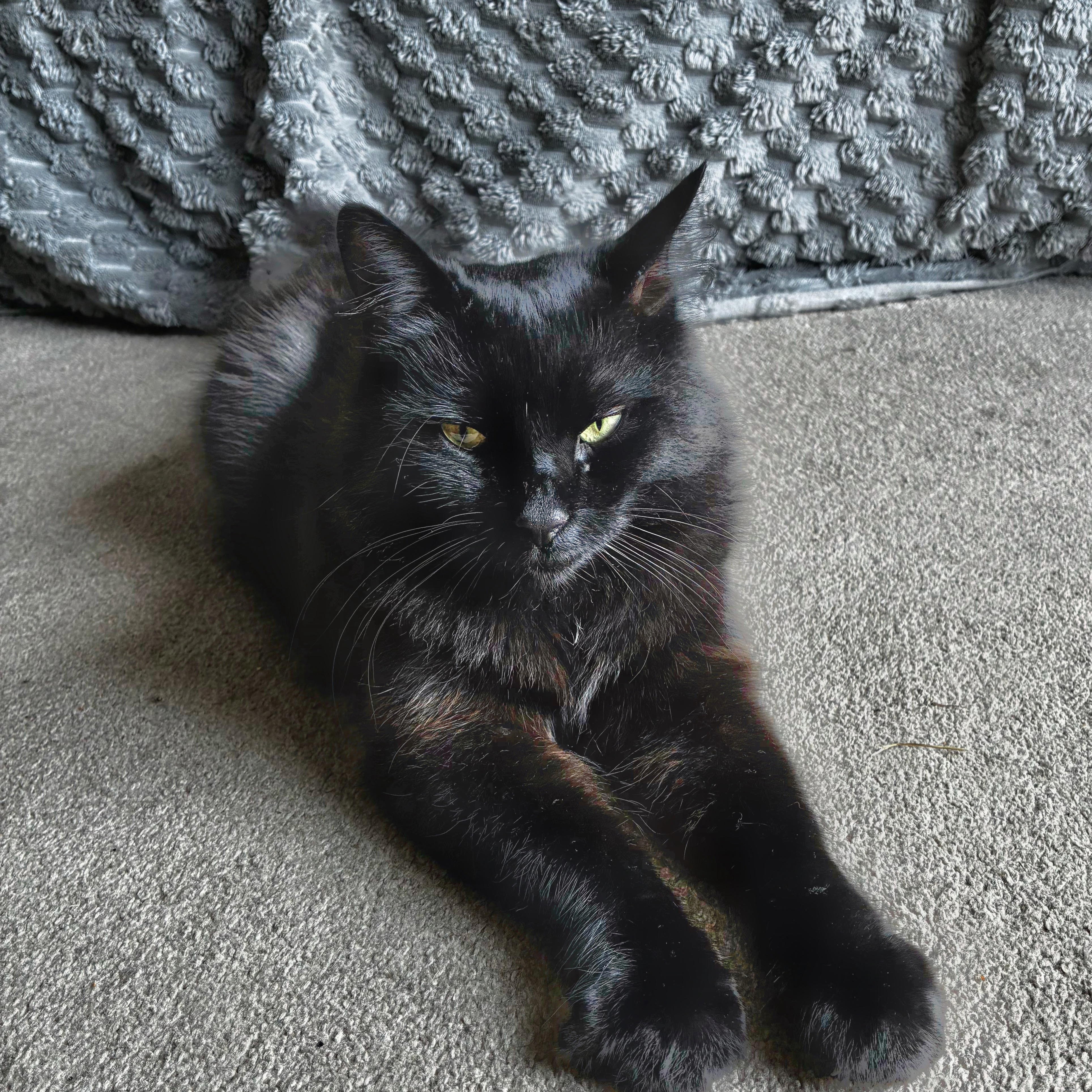 Isaac 