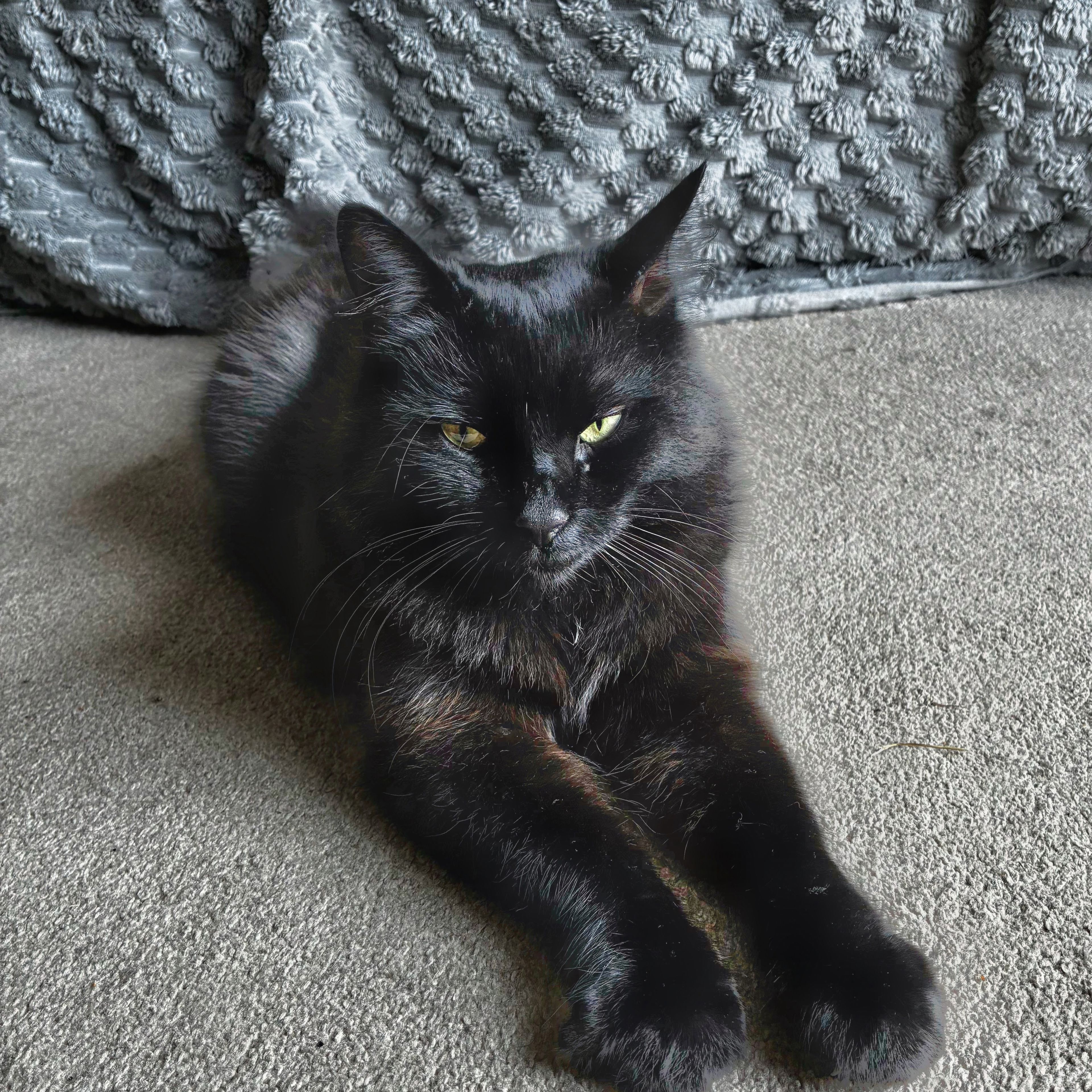 Isaac
