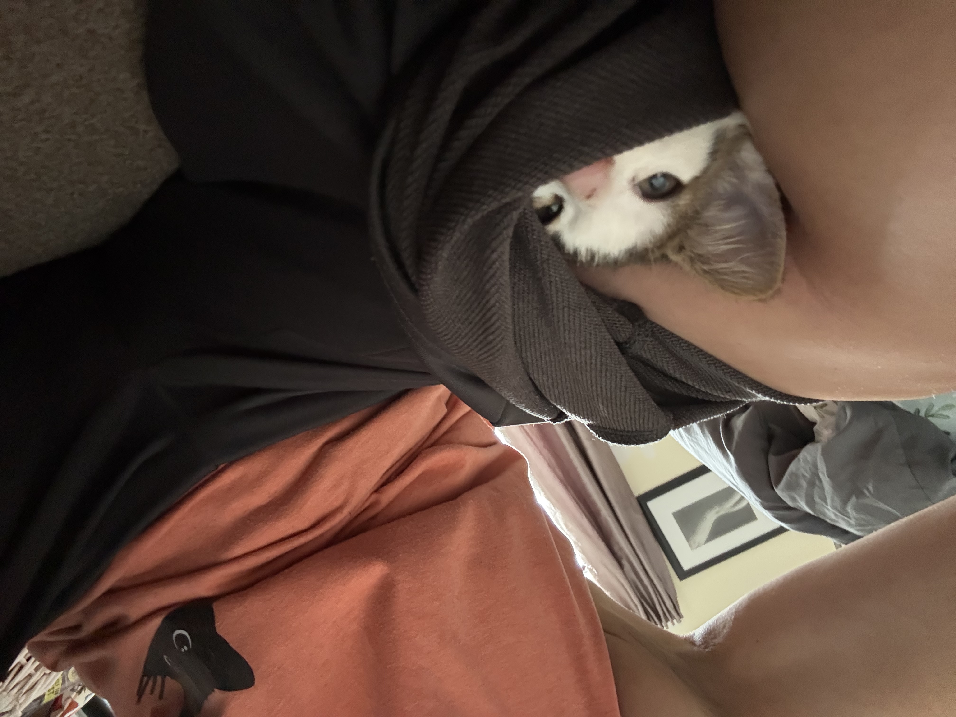 image-7