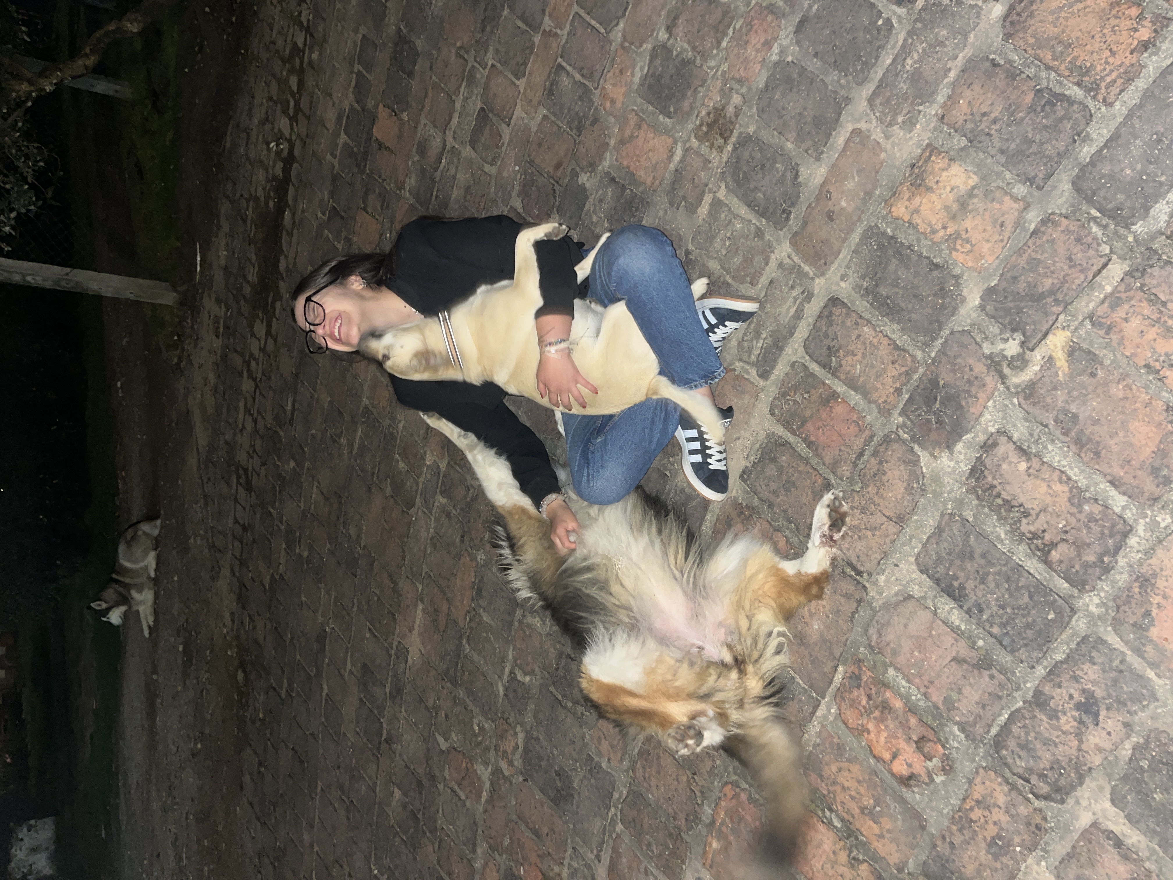 image-5
