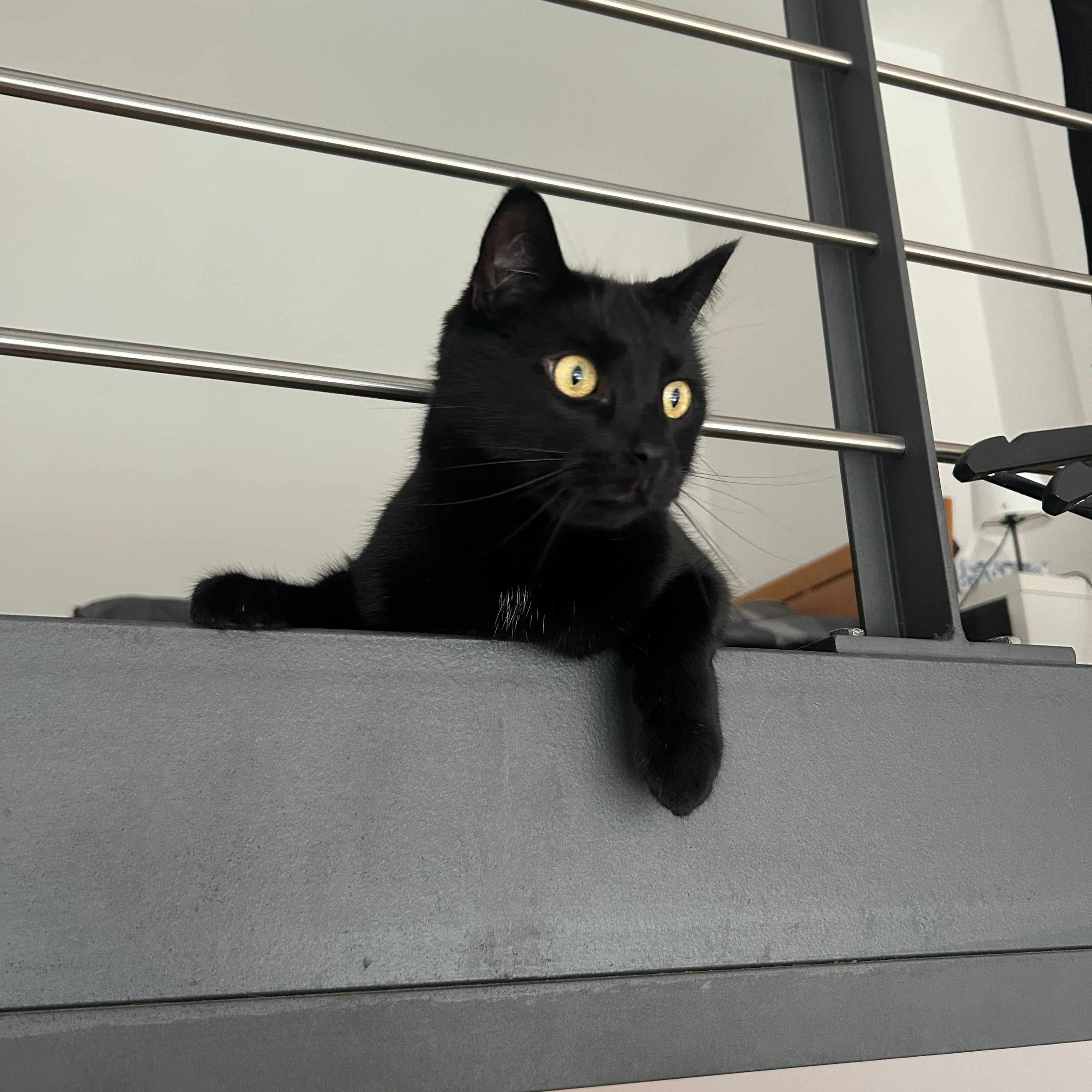 Elliot