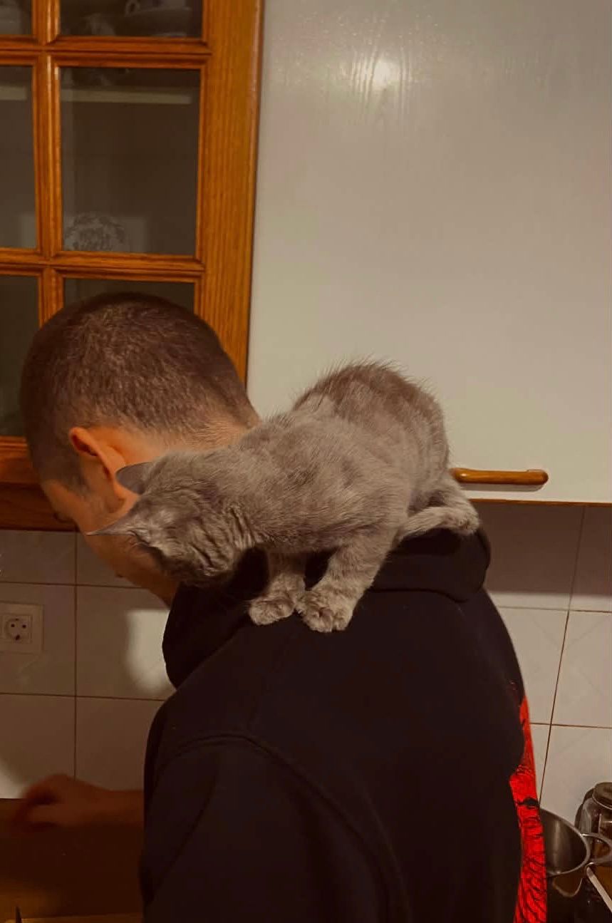 image-8