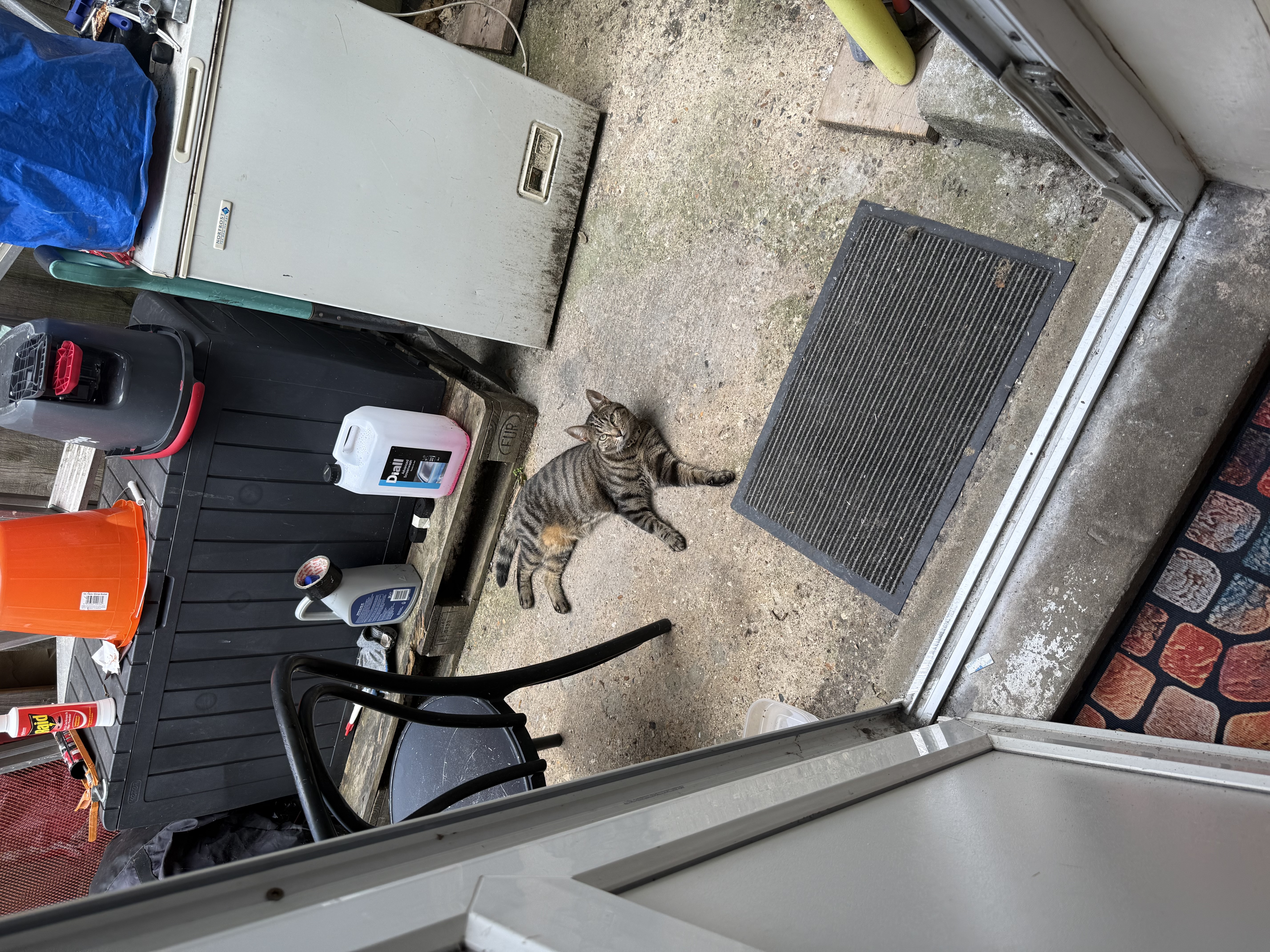 image-8
