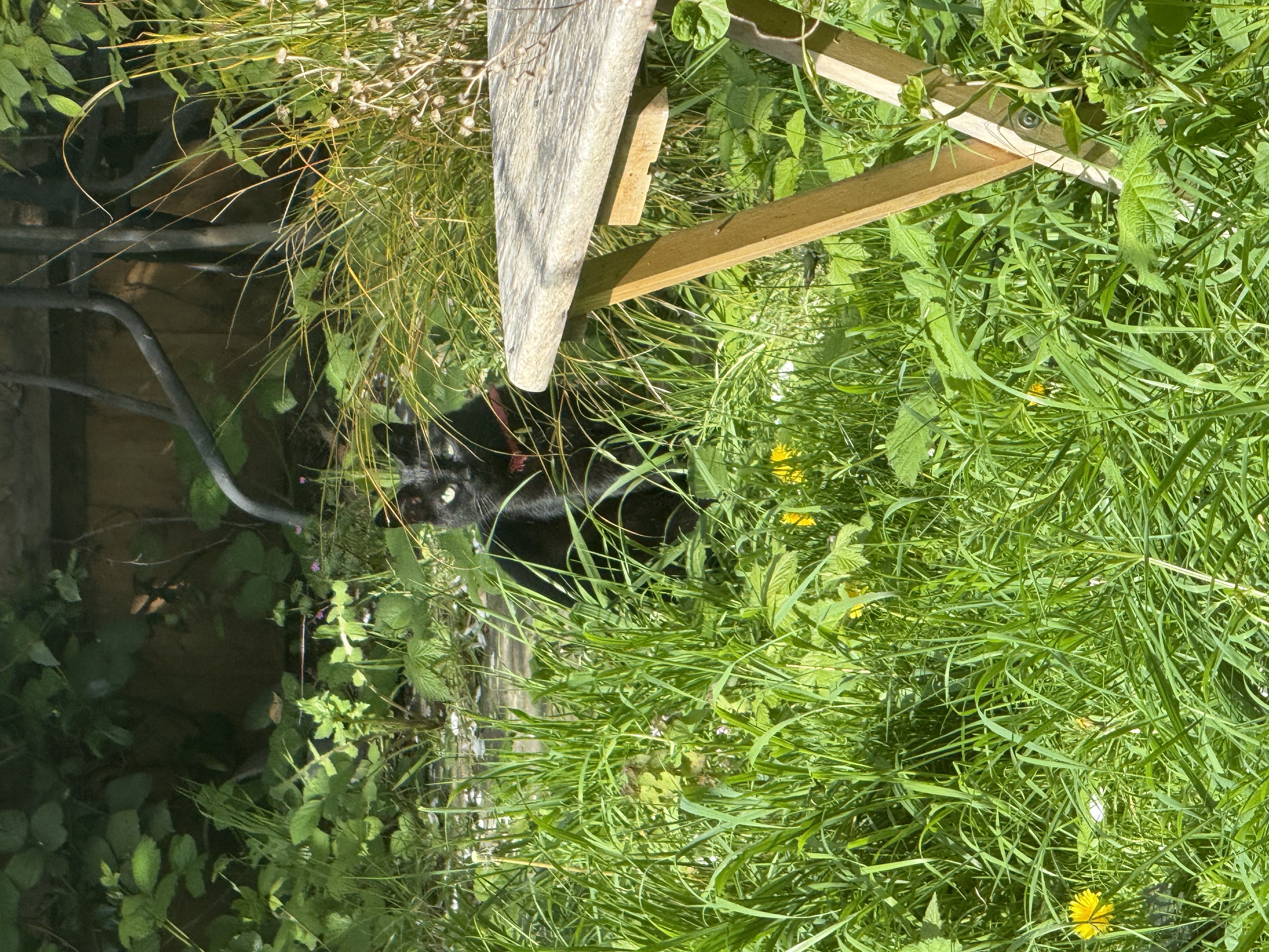 image-10
