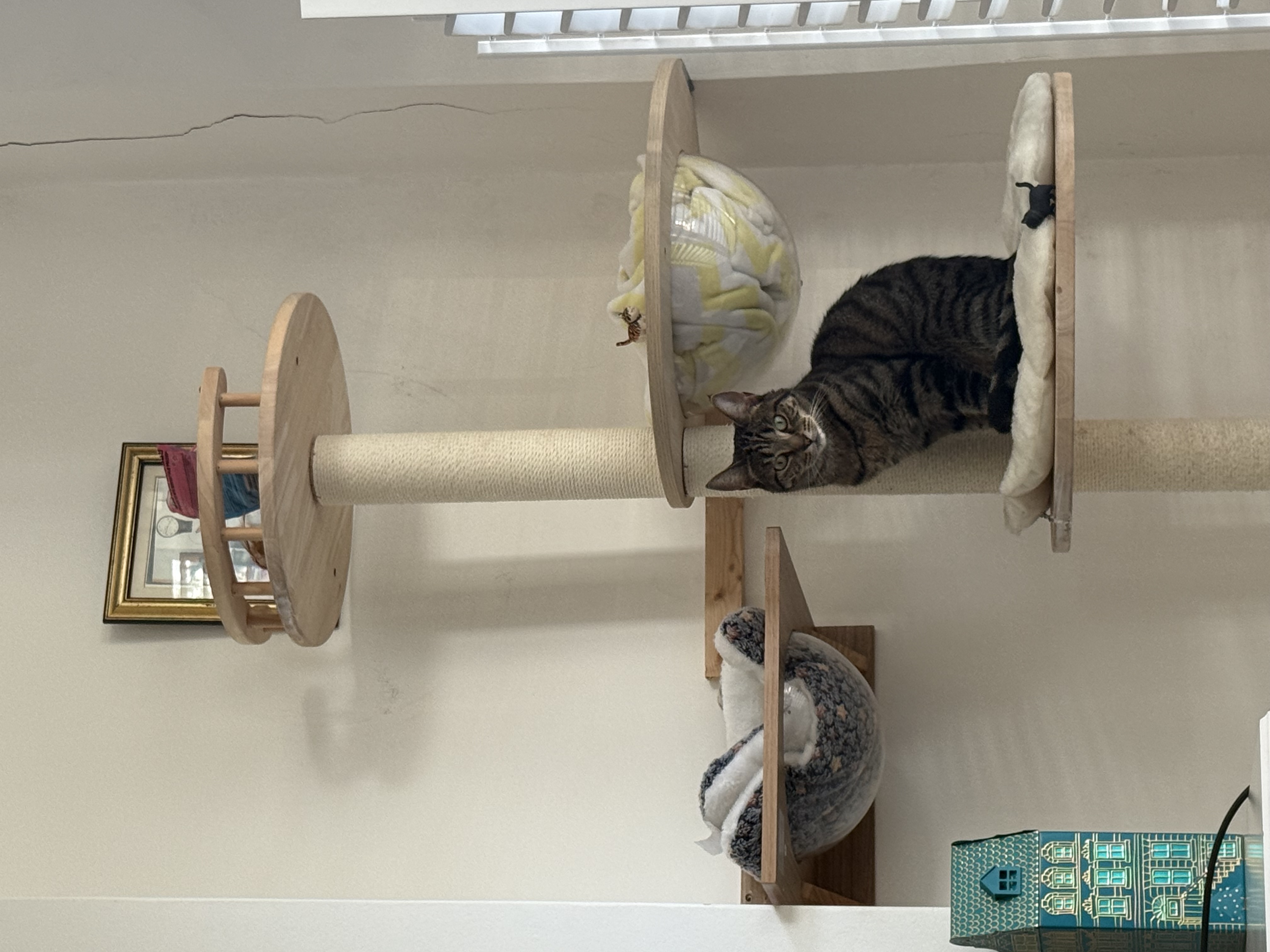 image-6