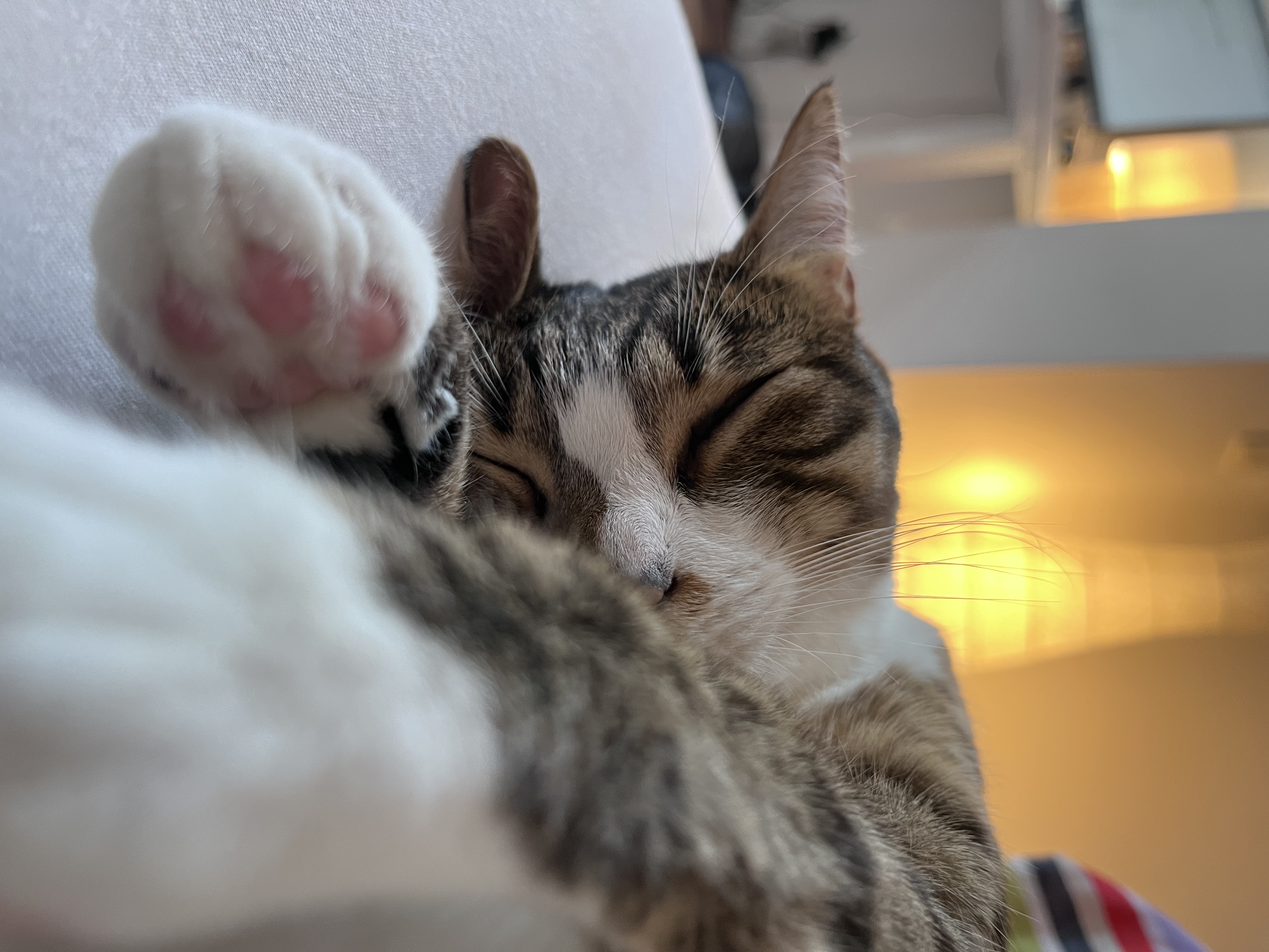 image-6