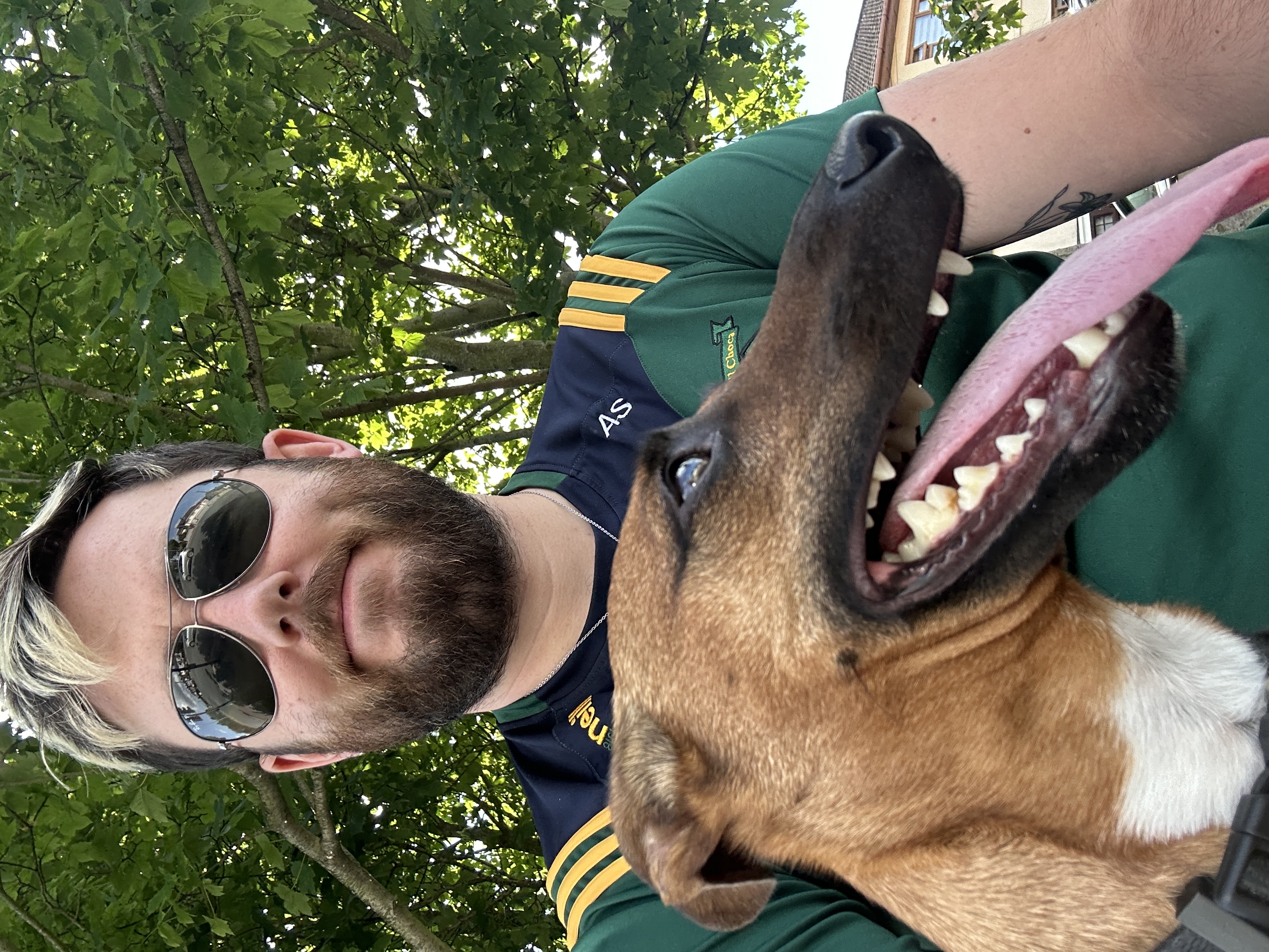 image-12