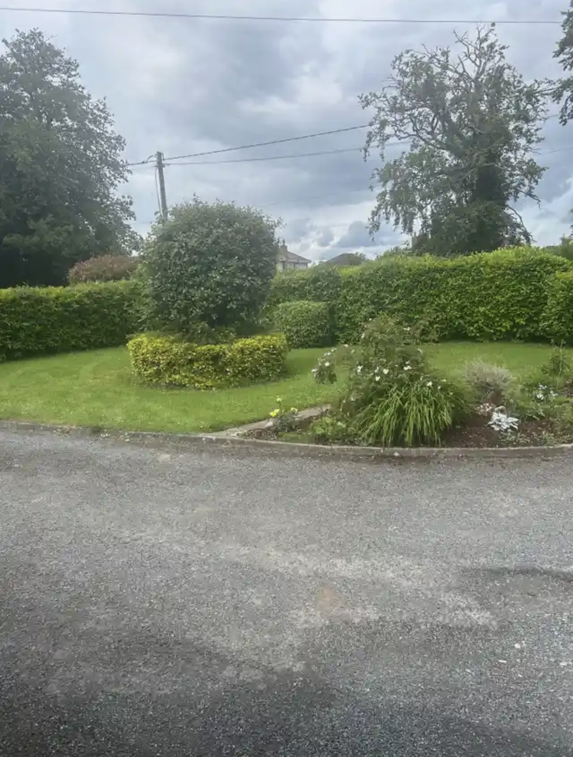 image-20