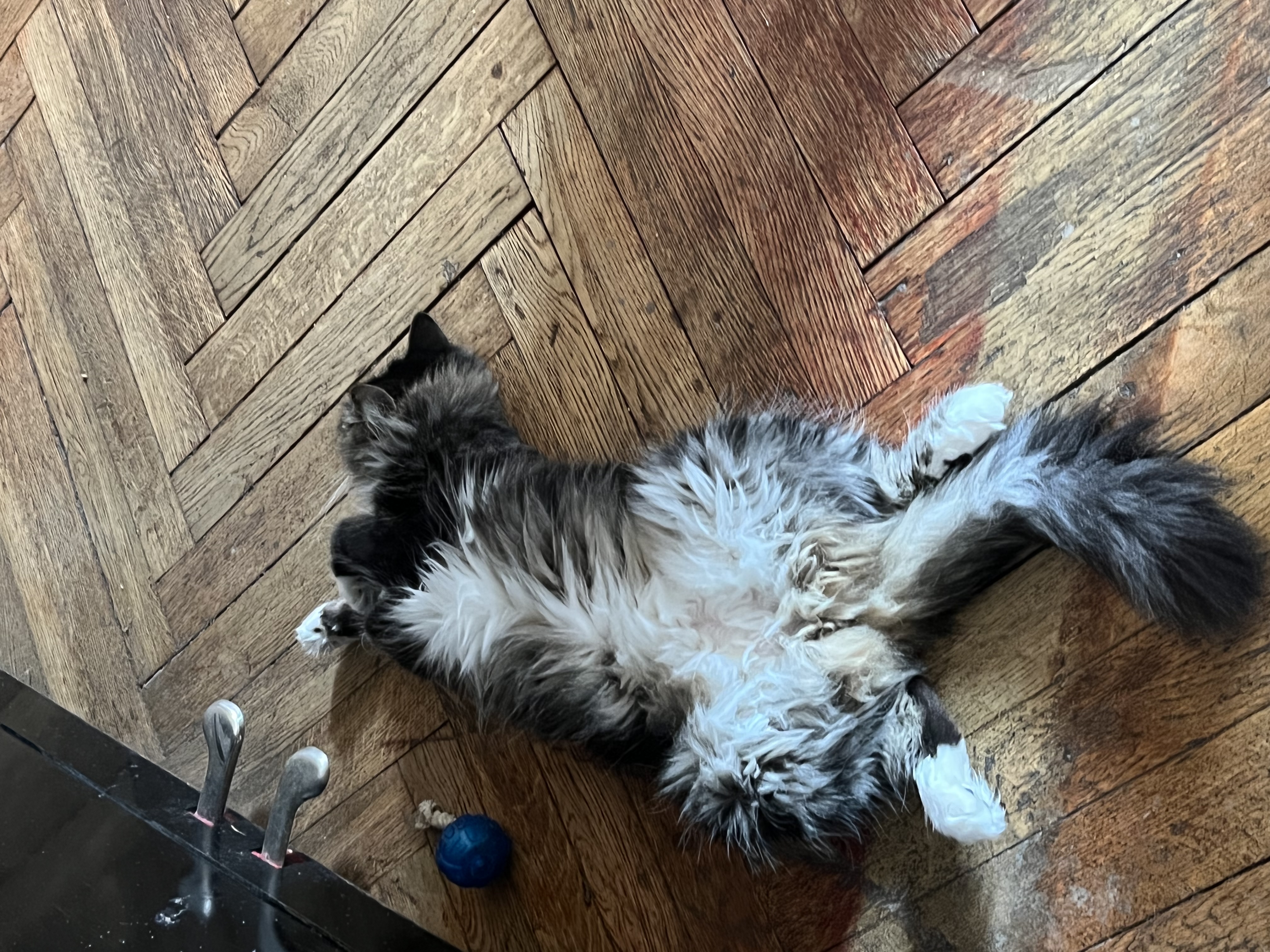 image-6