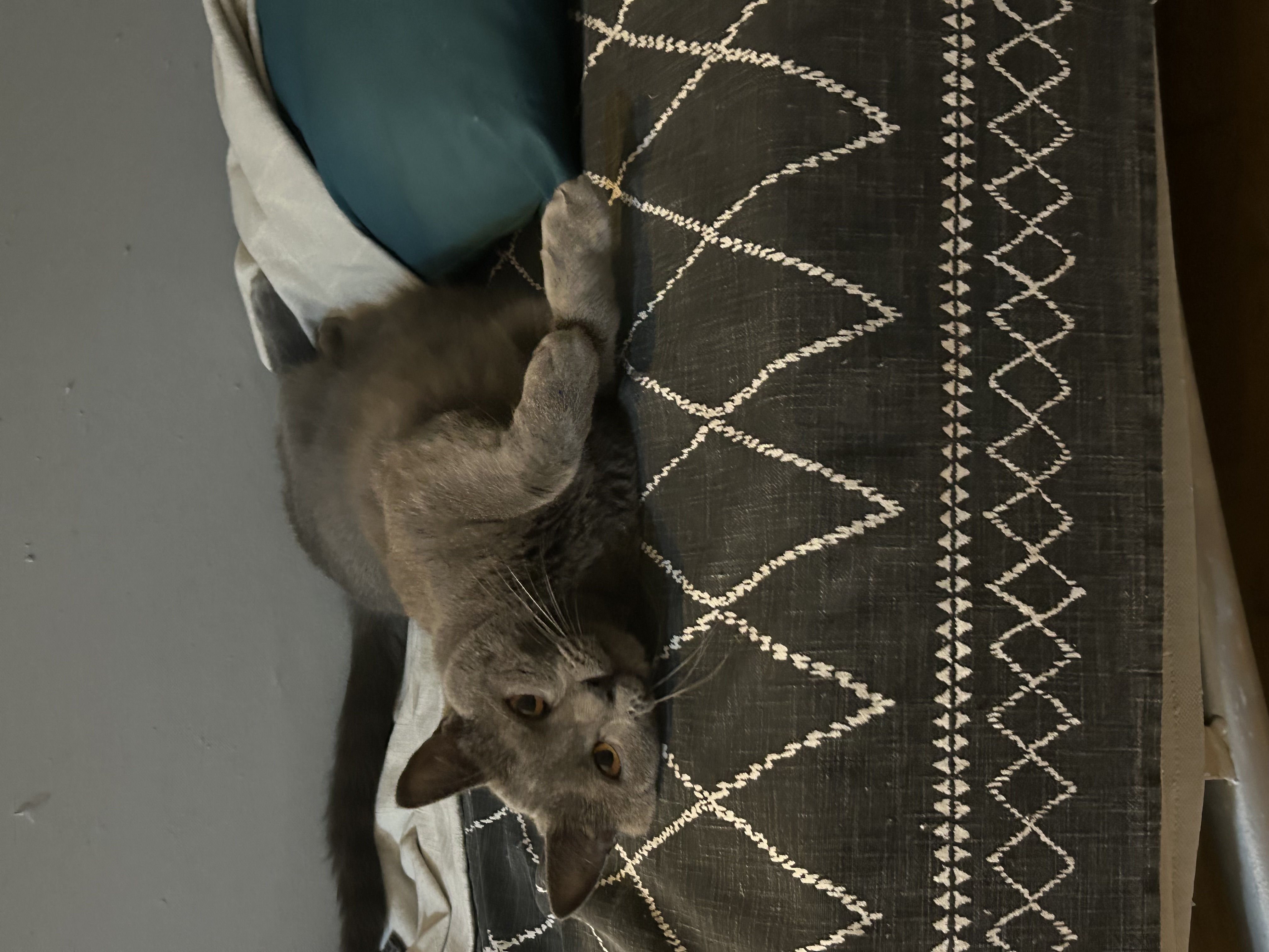 image-8