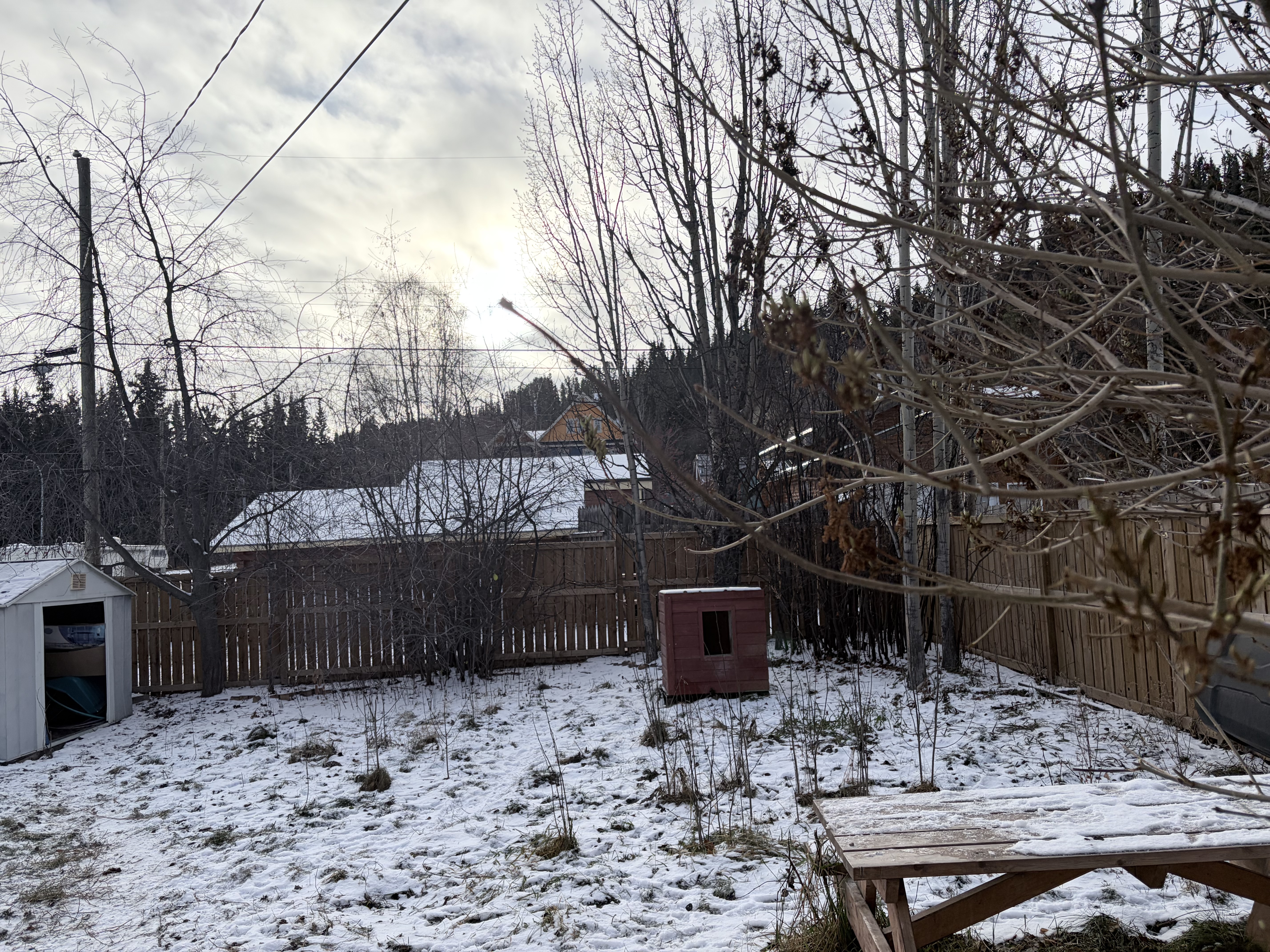 image-14