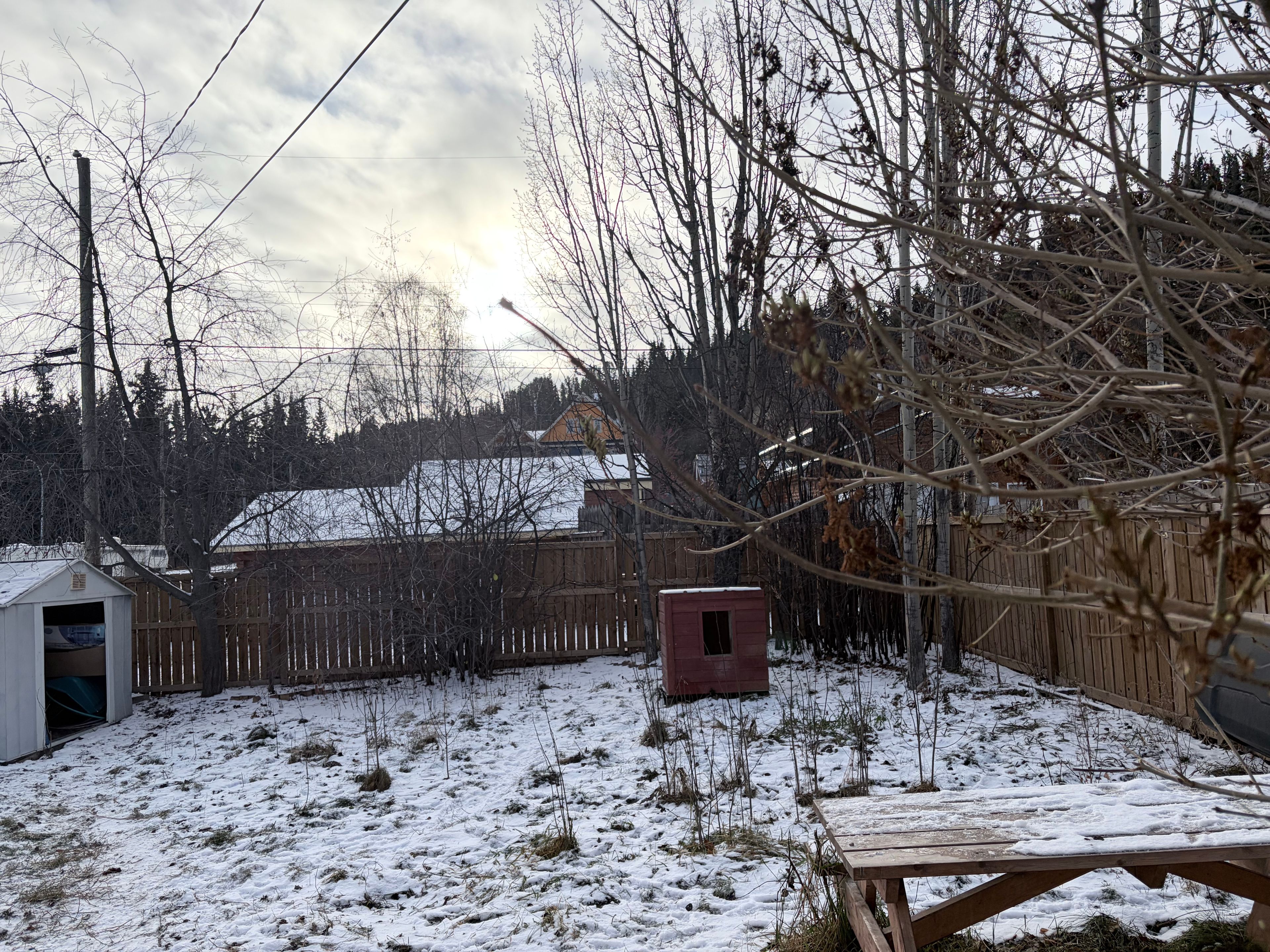 image-14