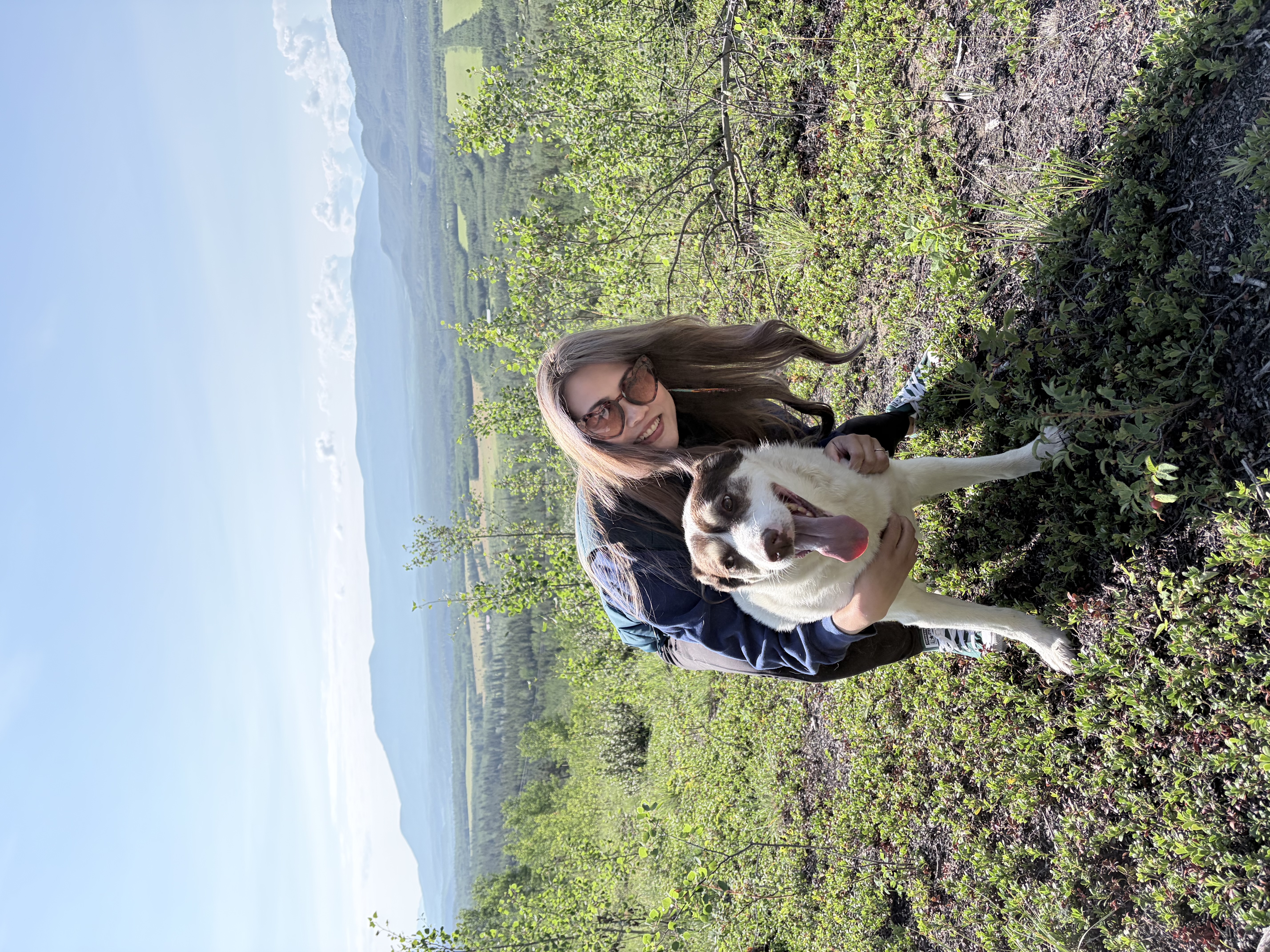 image-0