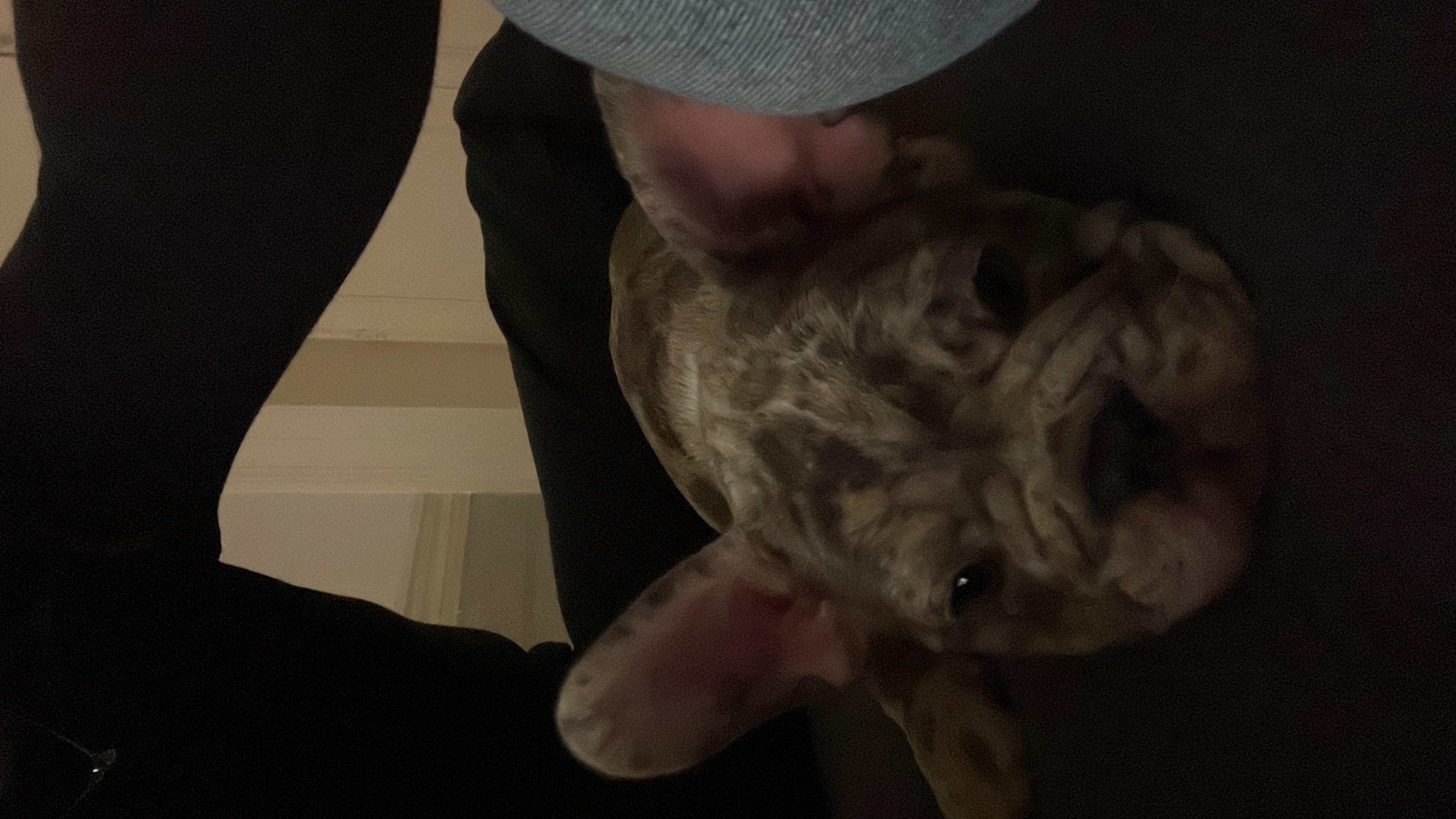 image-7