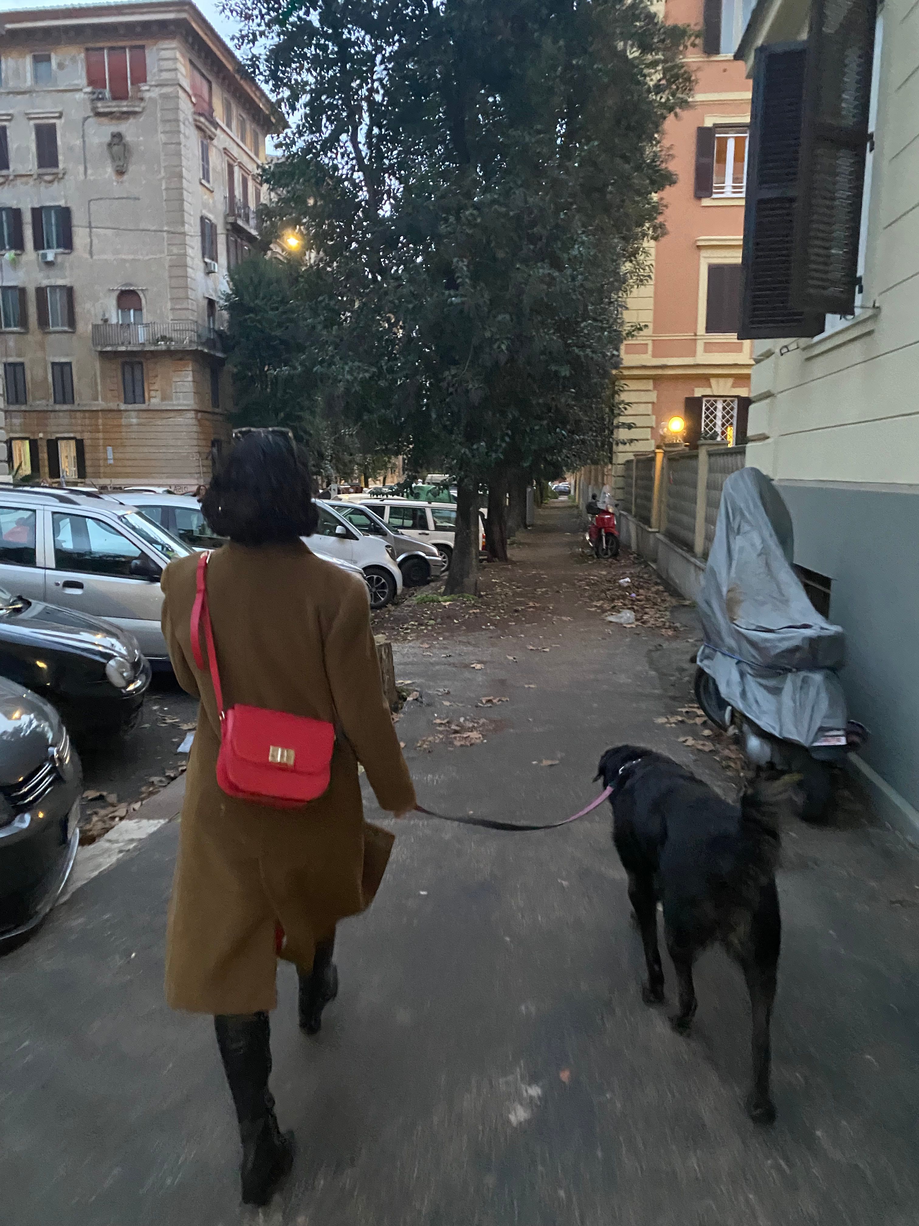 image-7