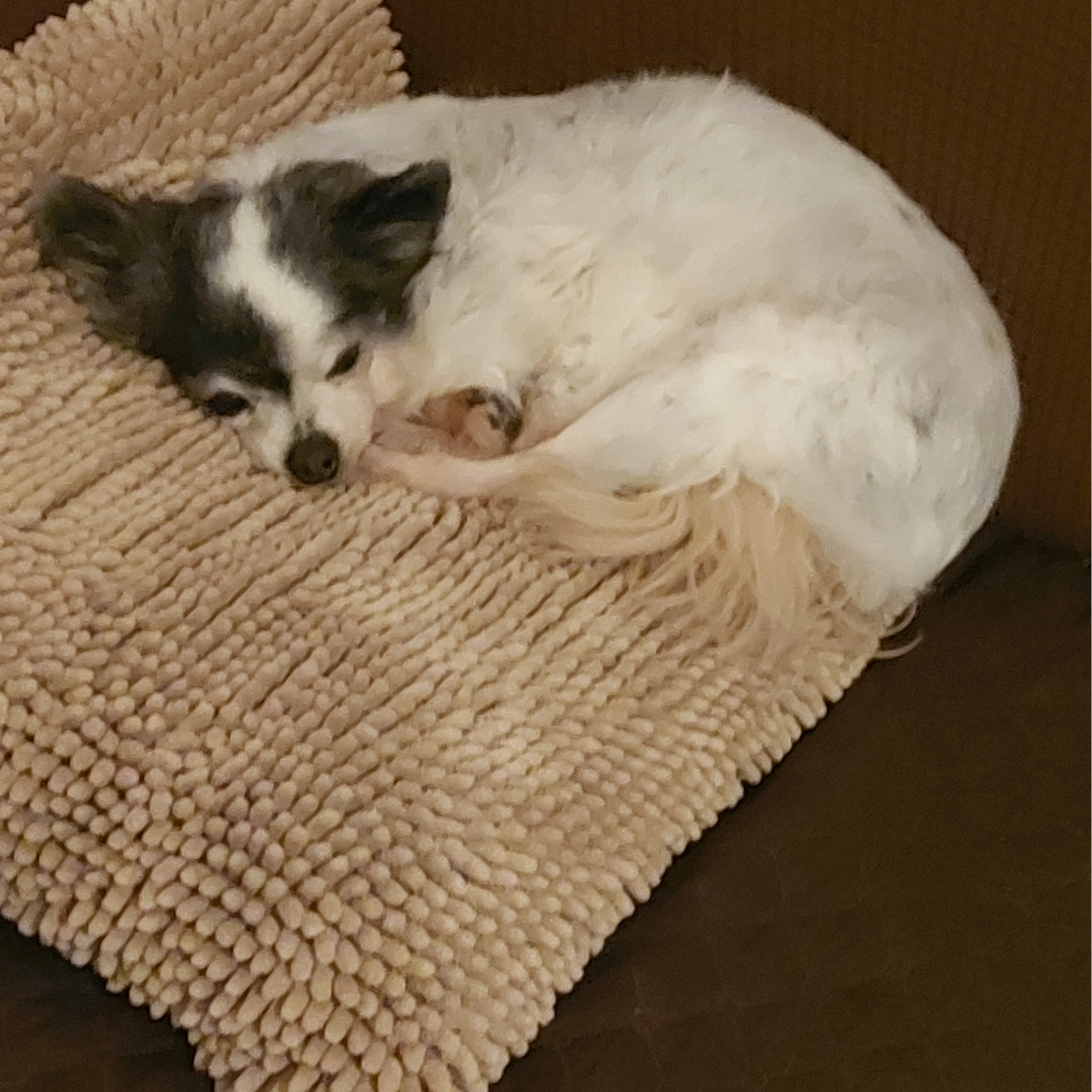 BIJOUX