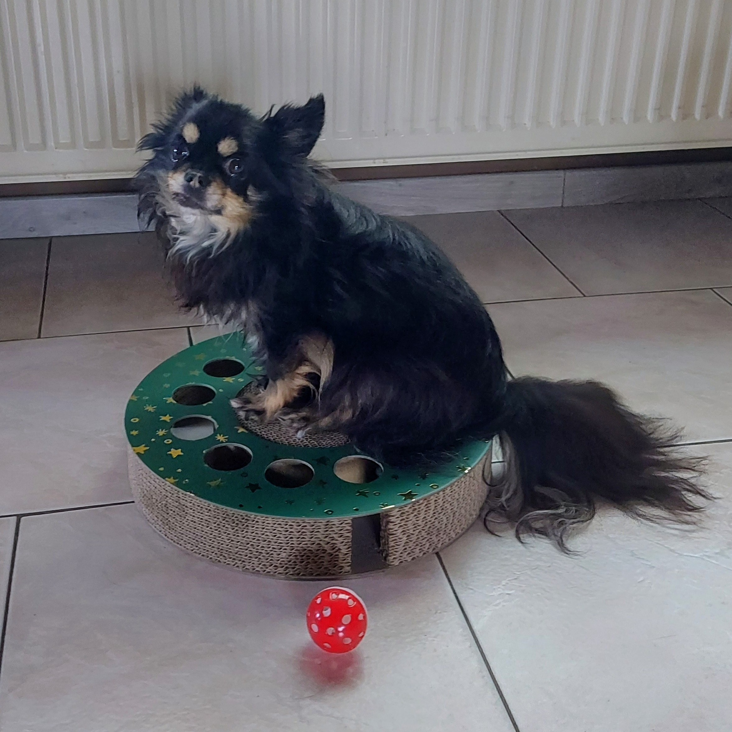 NINA