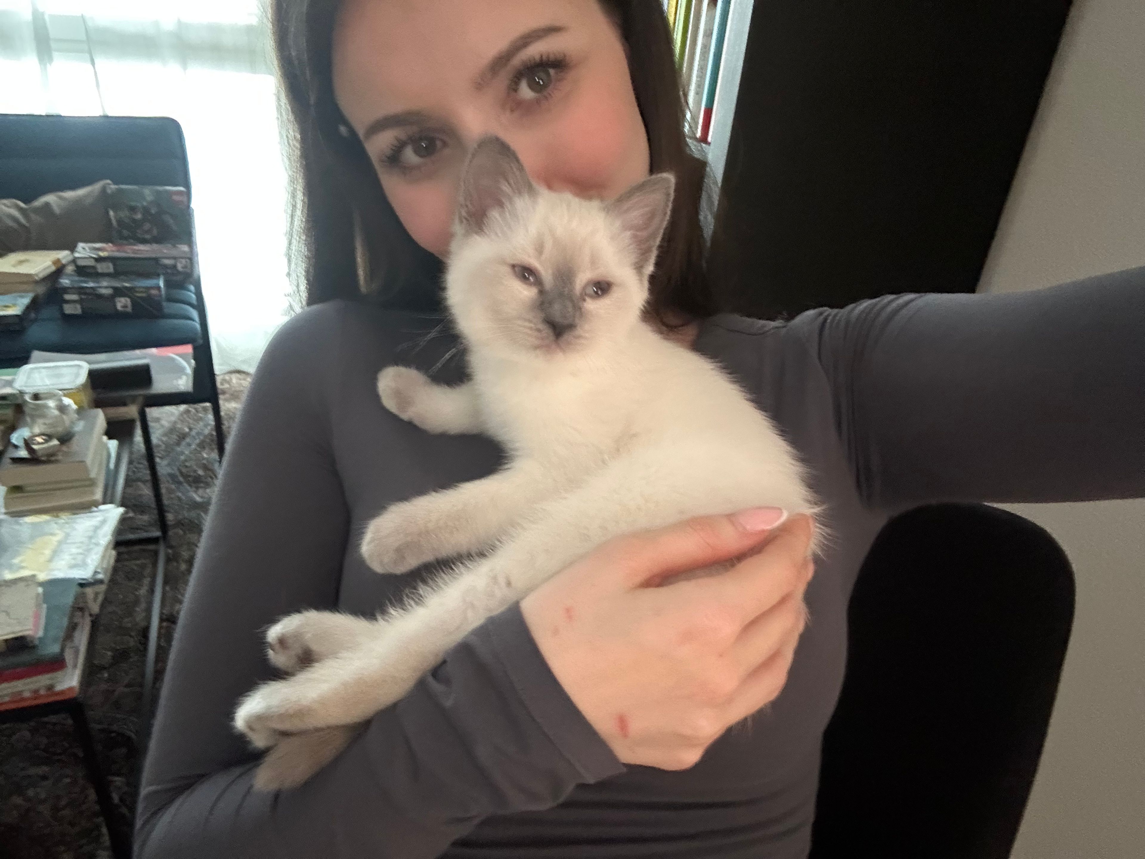image-2