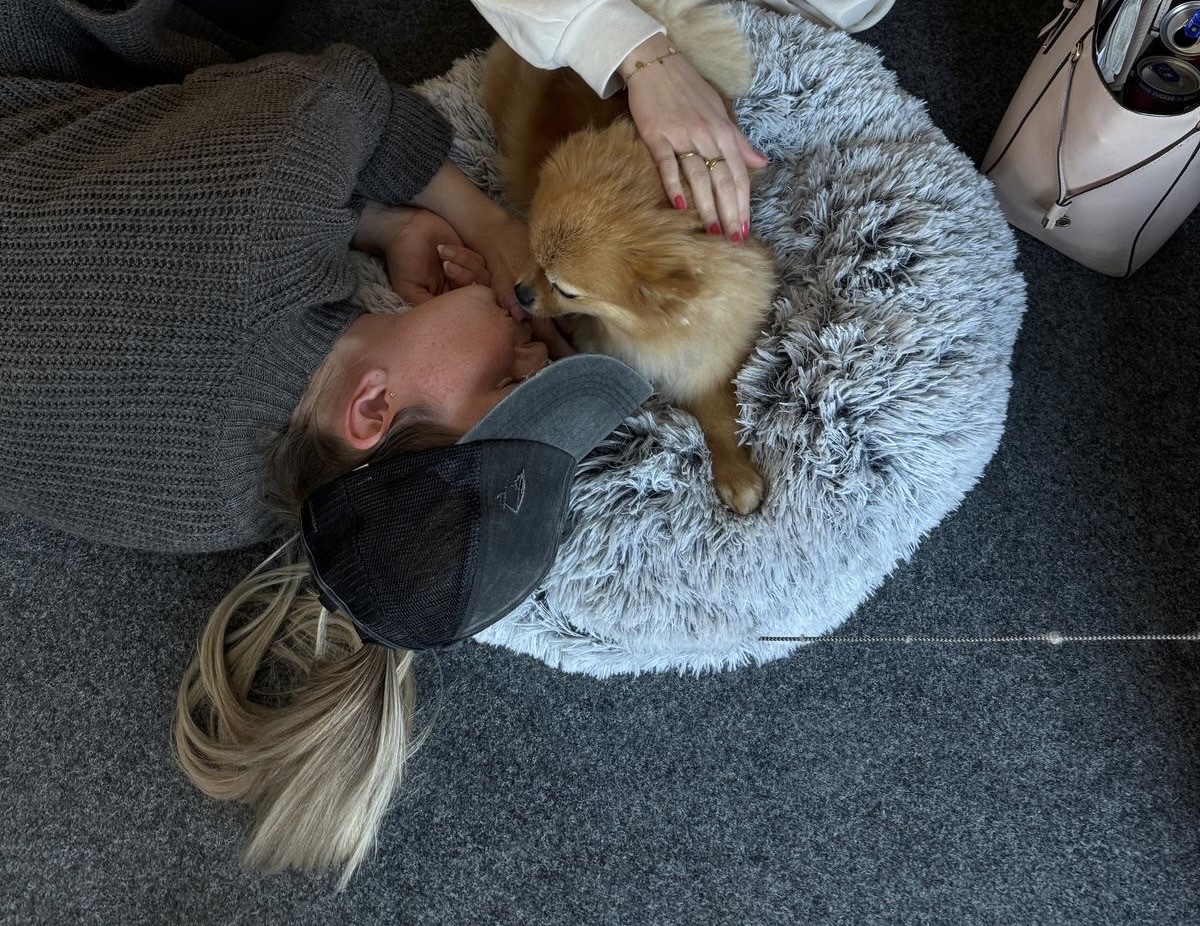 image-6