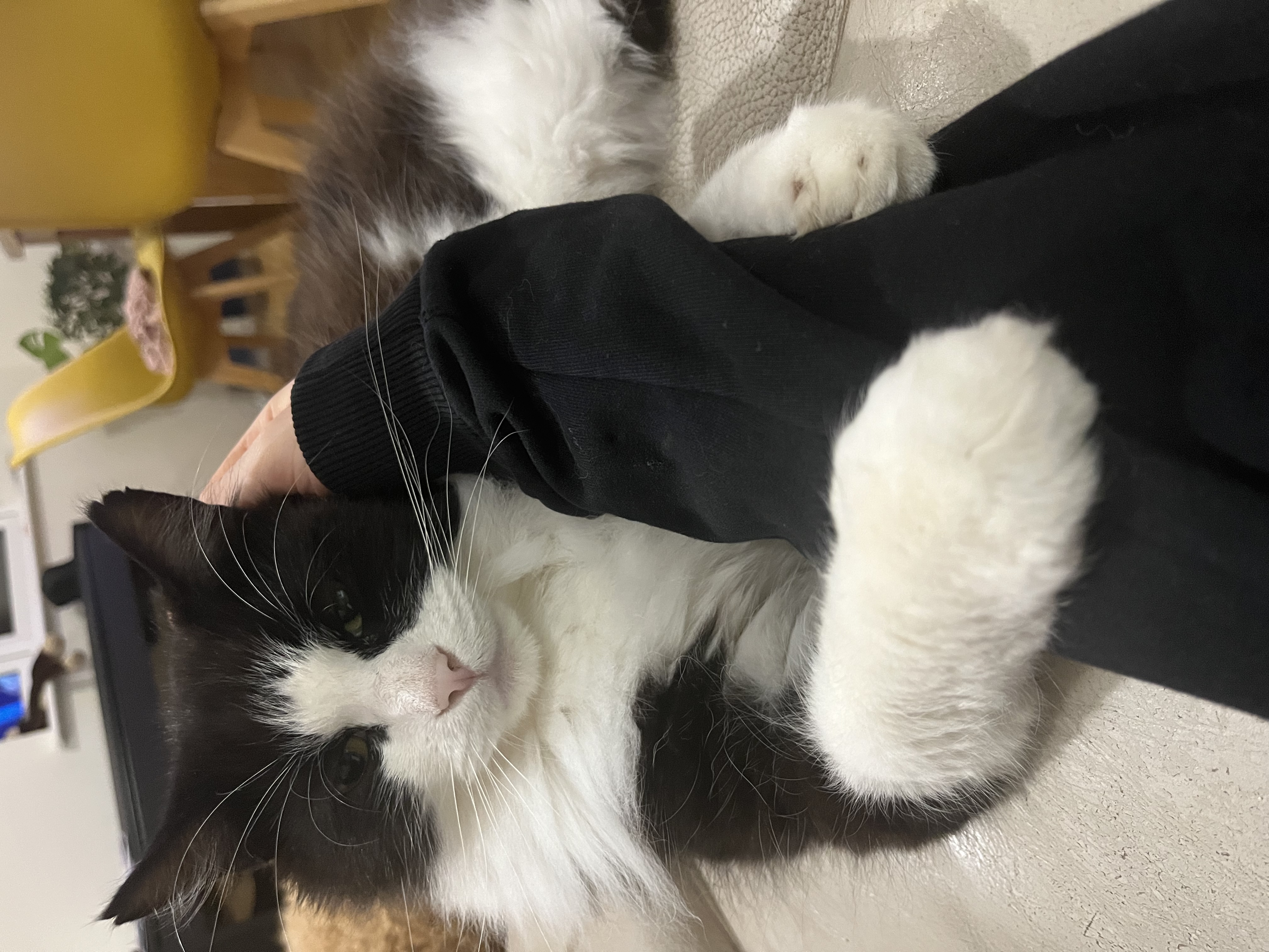 image-6
