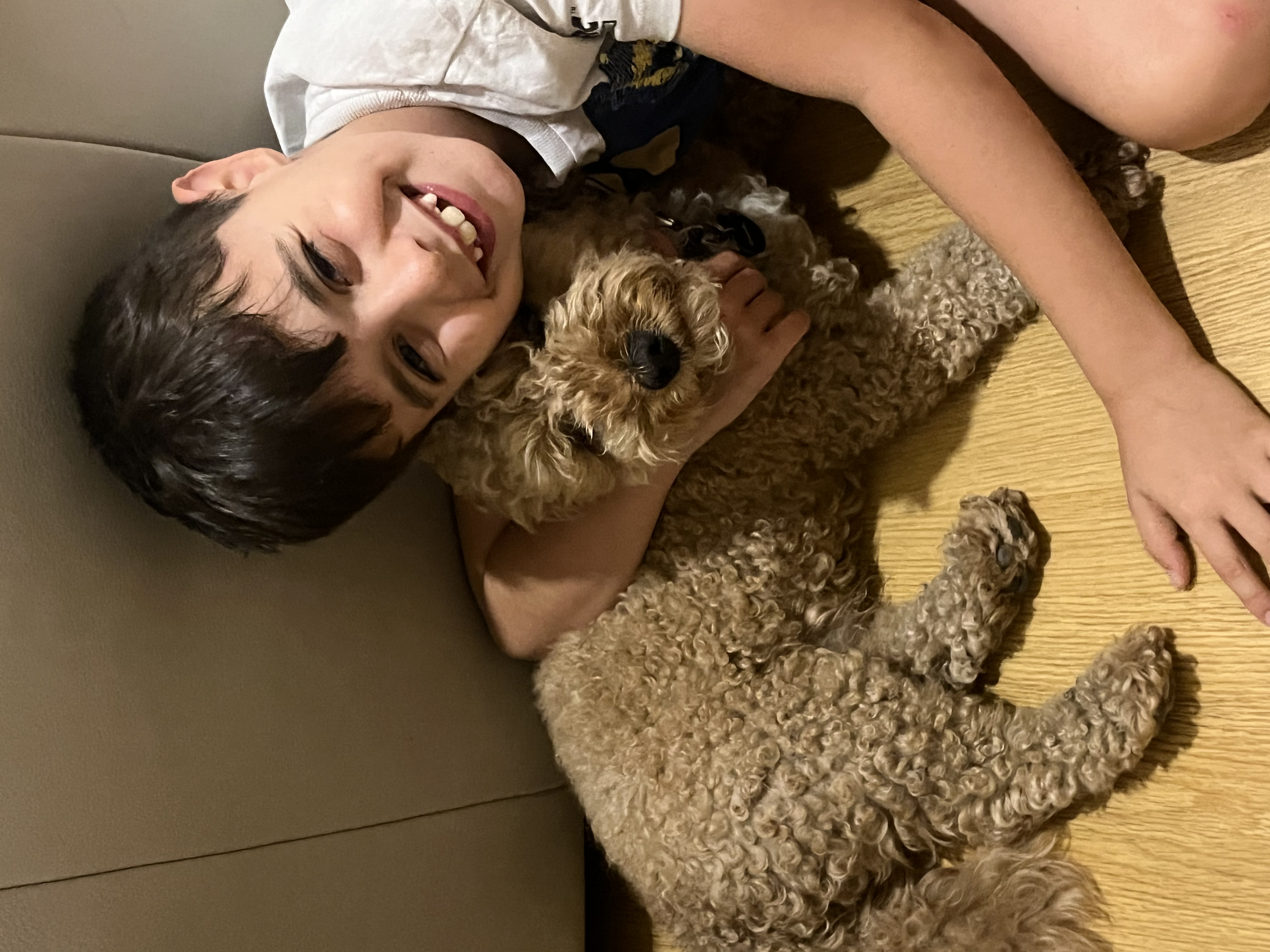 image-7