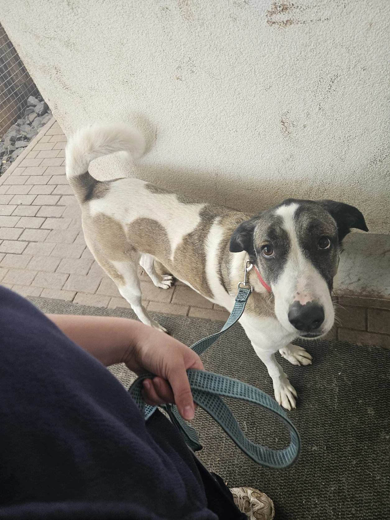 image-18