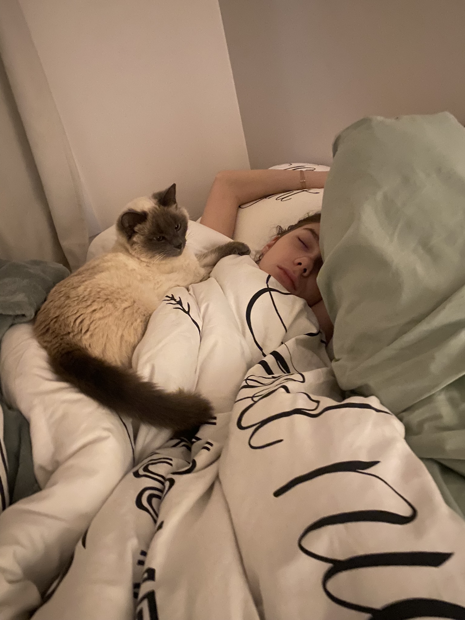 image-12