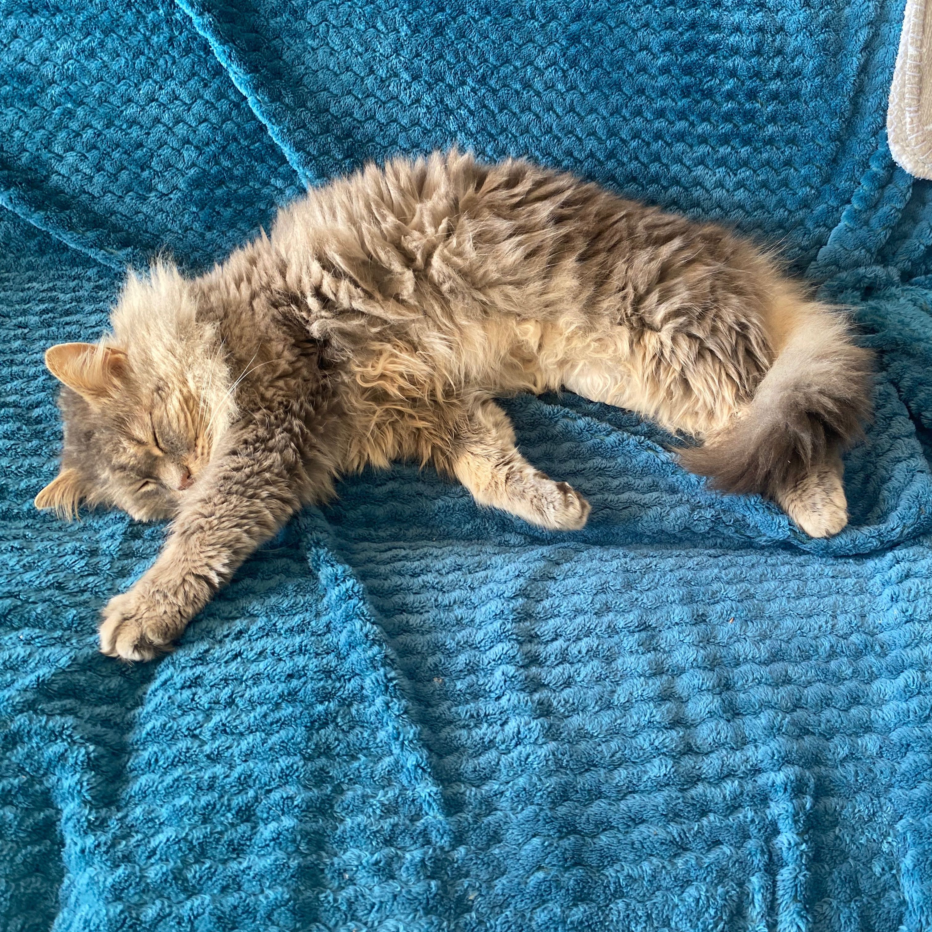 Pixel
