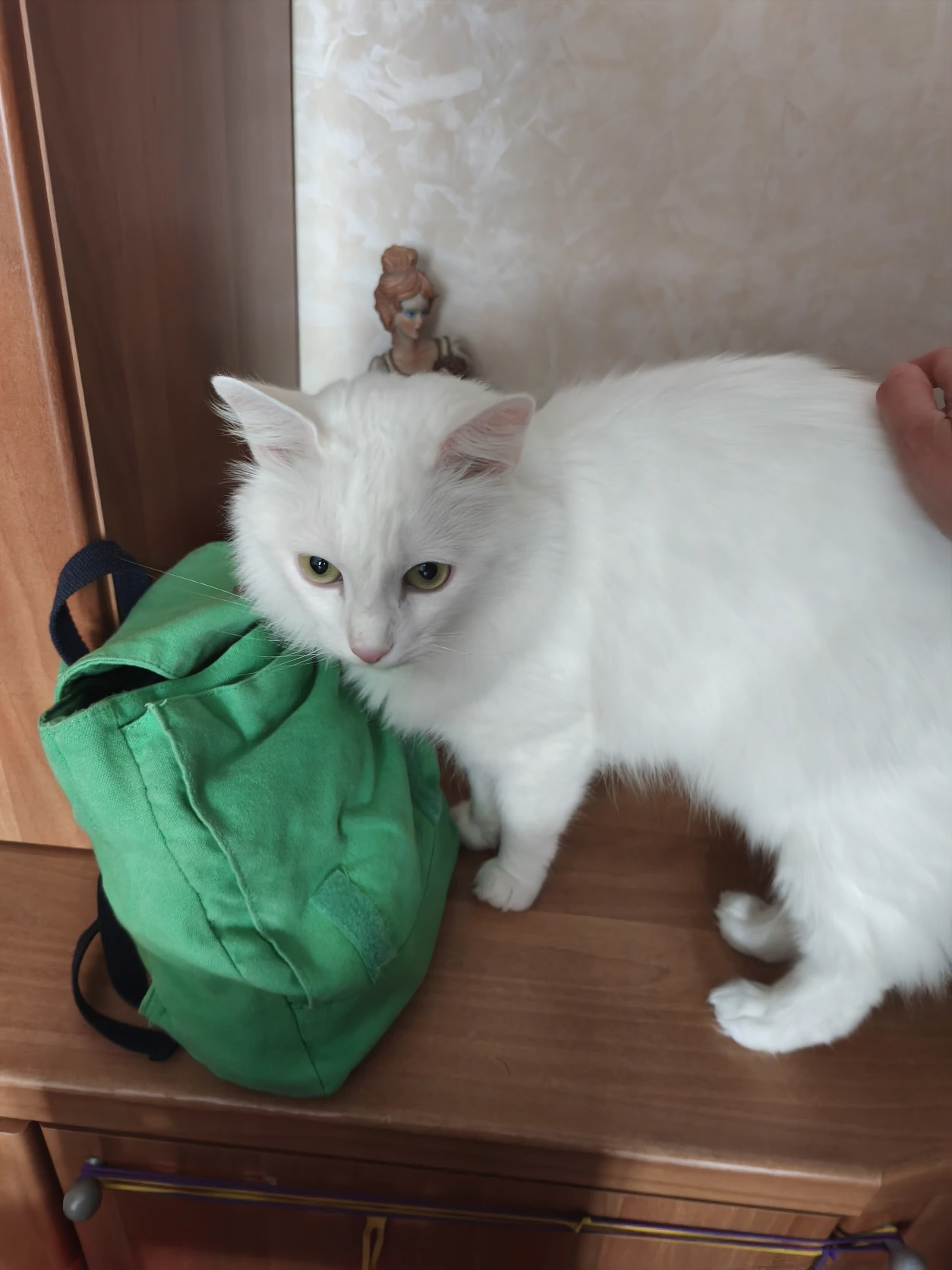 image-21